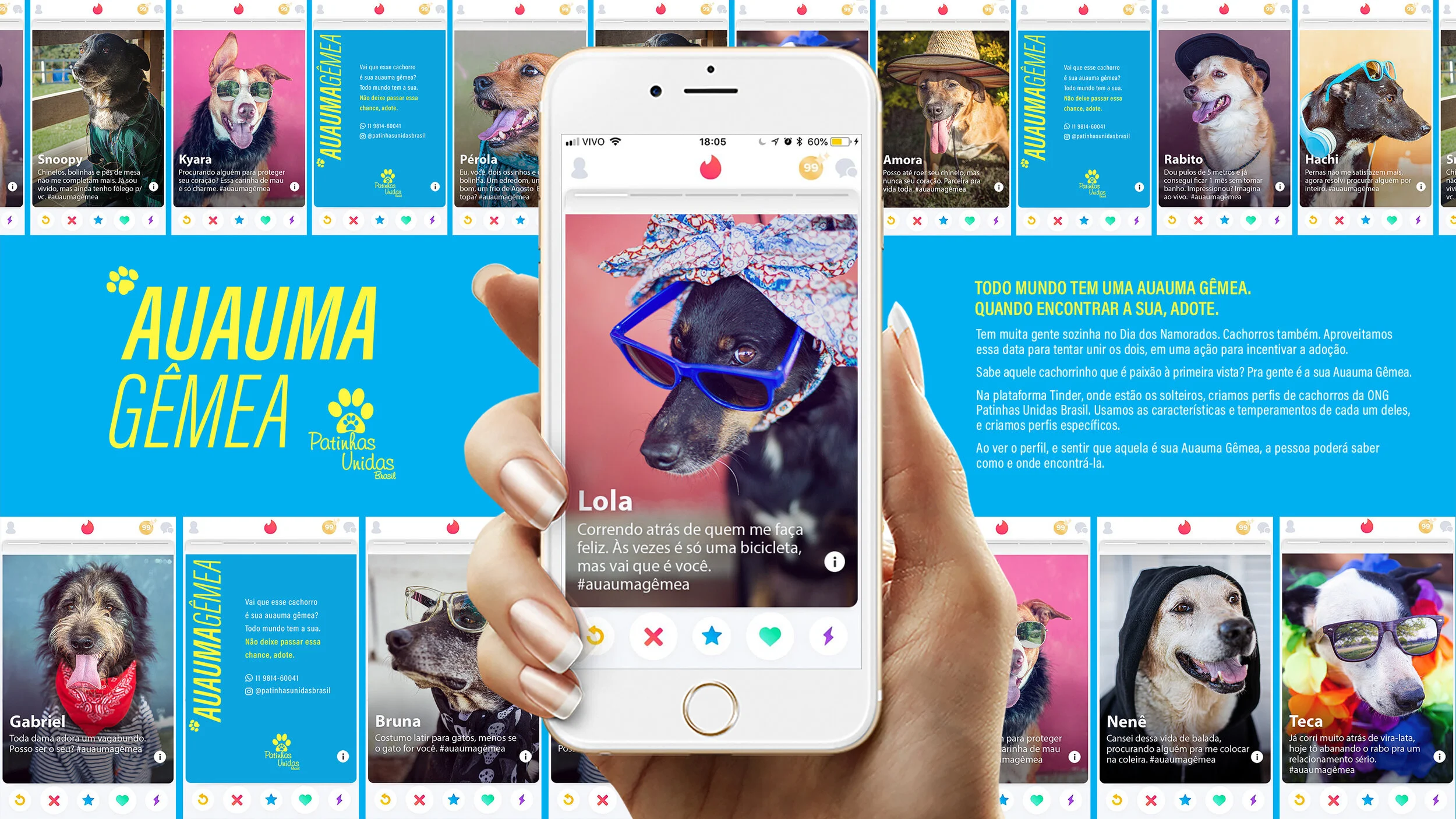 More about the project