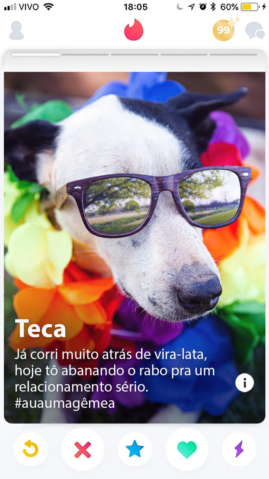 Teca