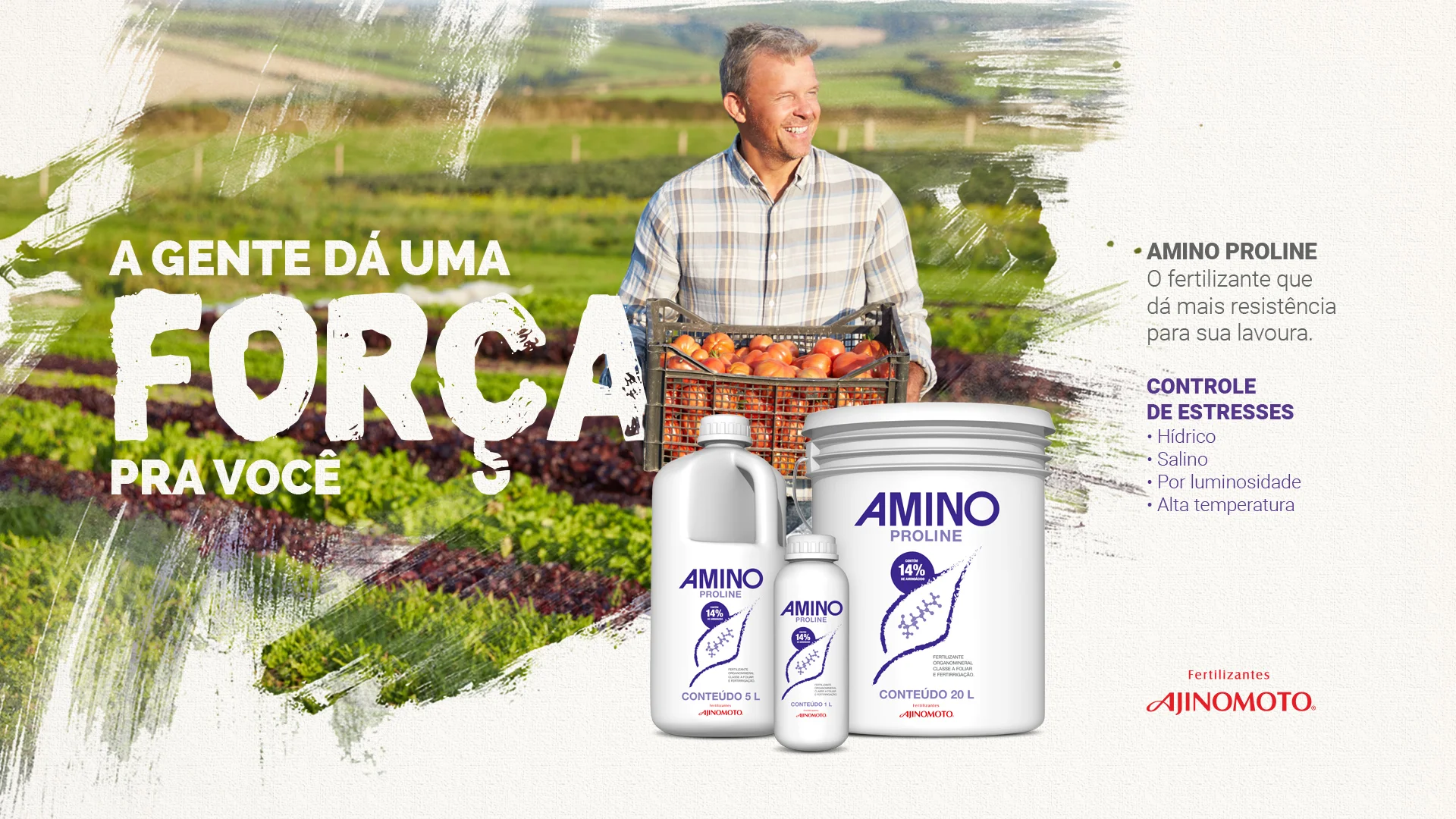 apresentacao-conceito-amino-ajinomoto.jpg