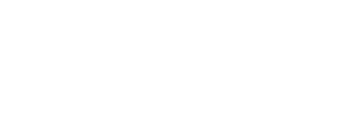 ESI-Logo-White-No-BG.png