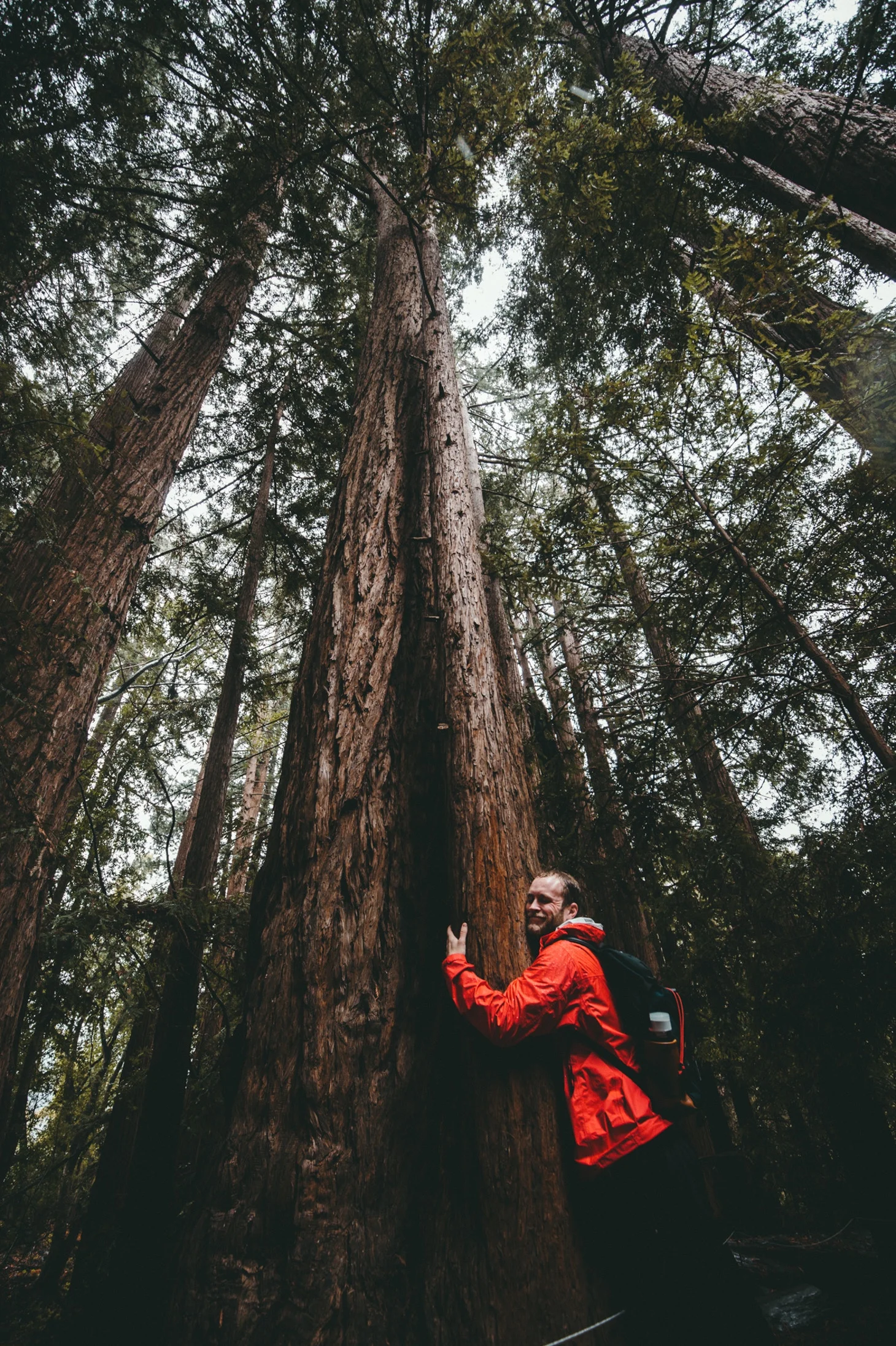 kal-loftus-594565-unsplash.jpg