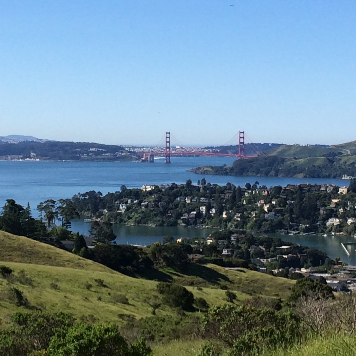  Head up to Old St. Hilary’s Open Space Preserve for spectacular only-in-Tiburon views of the San Francisco Bay and the Golden Gate Bridge. 