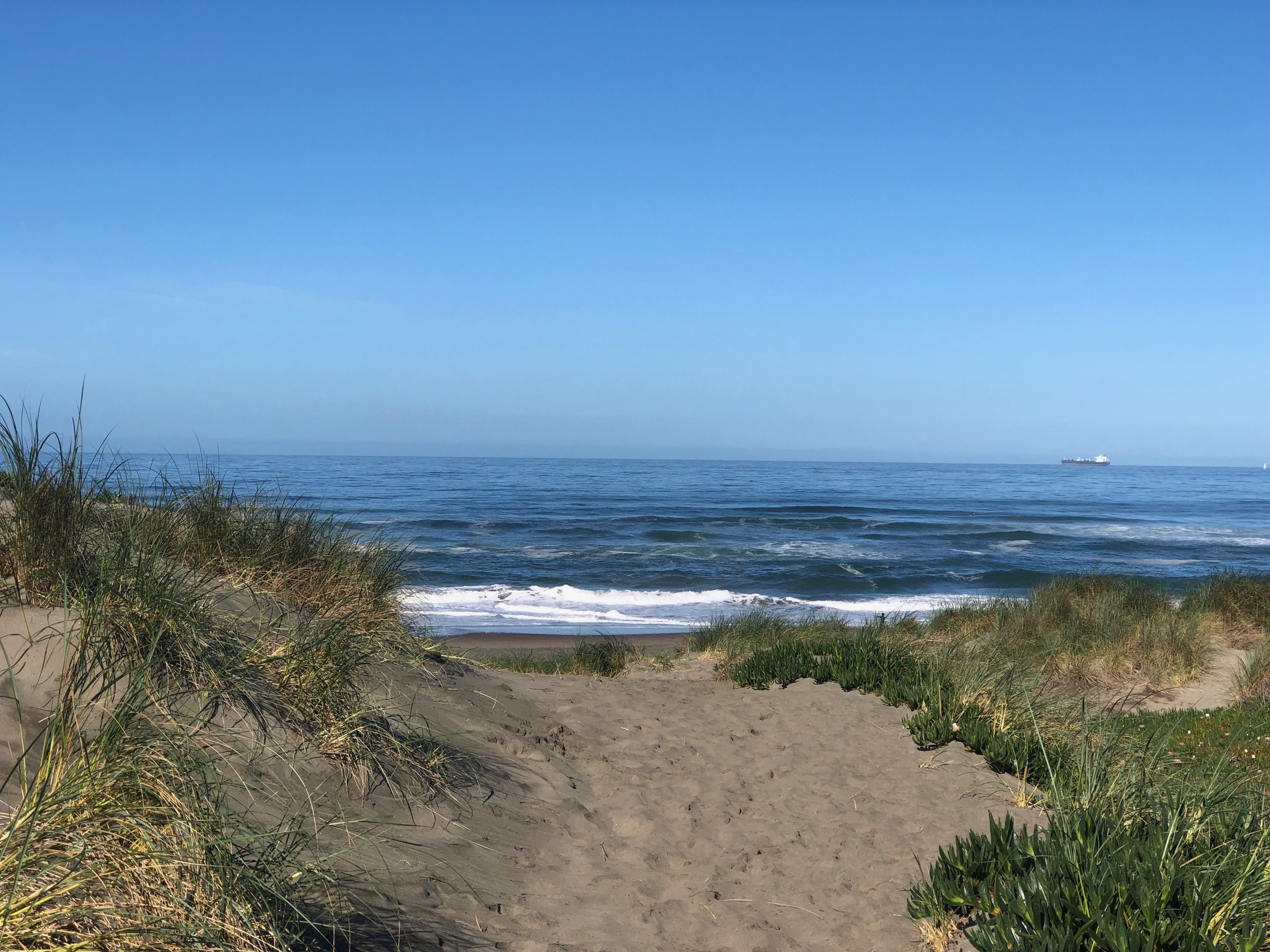 IMG_4248.jpeg