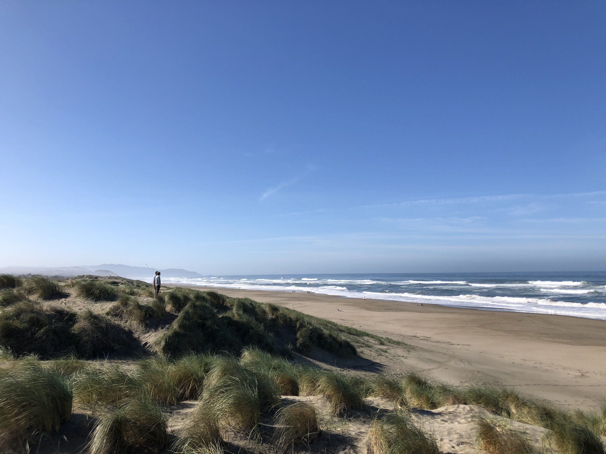 Ocean Beach