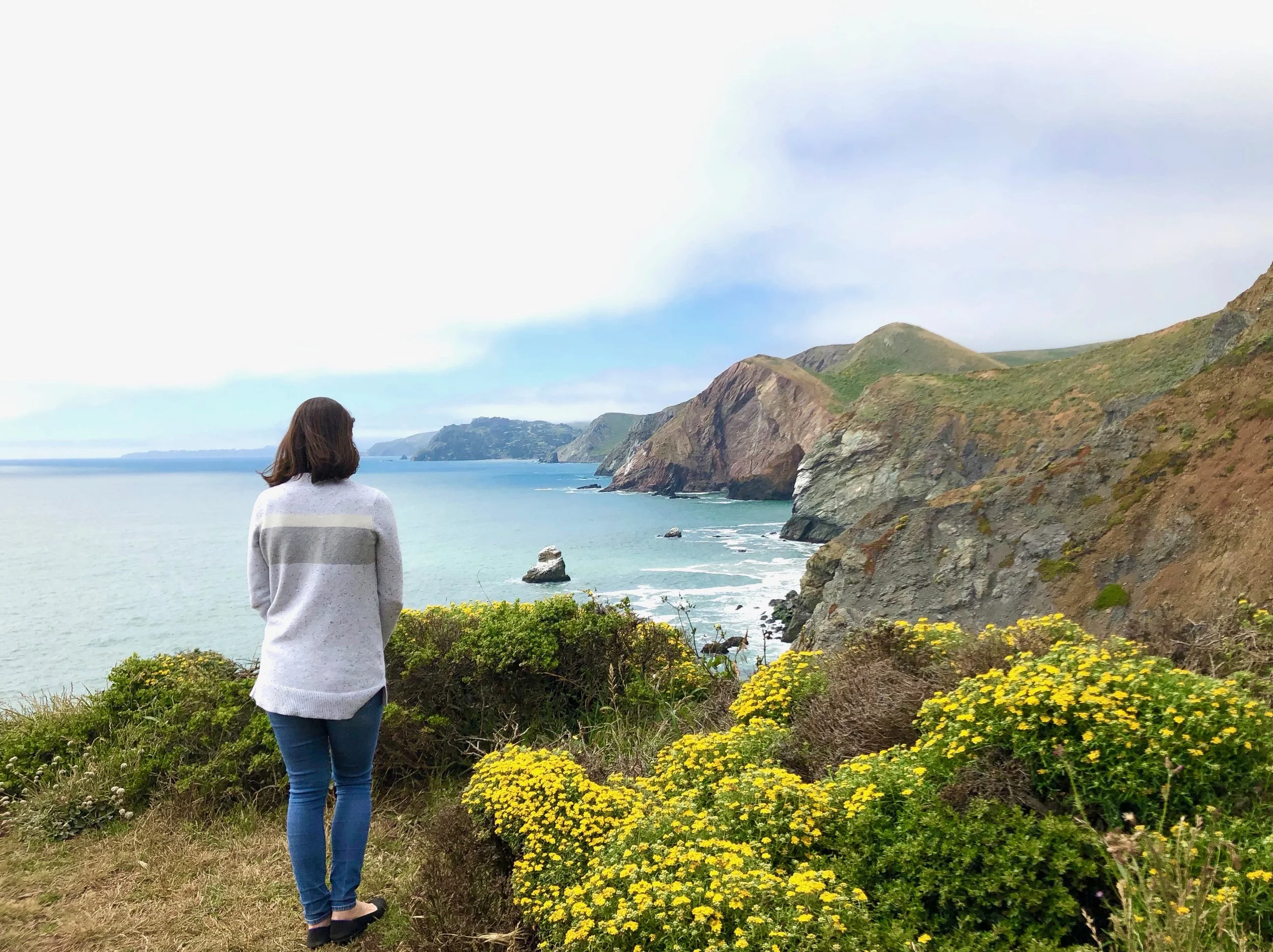Sausalito Travel Guide: A Perfect Day Around Sausalito