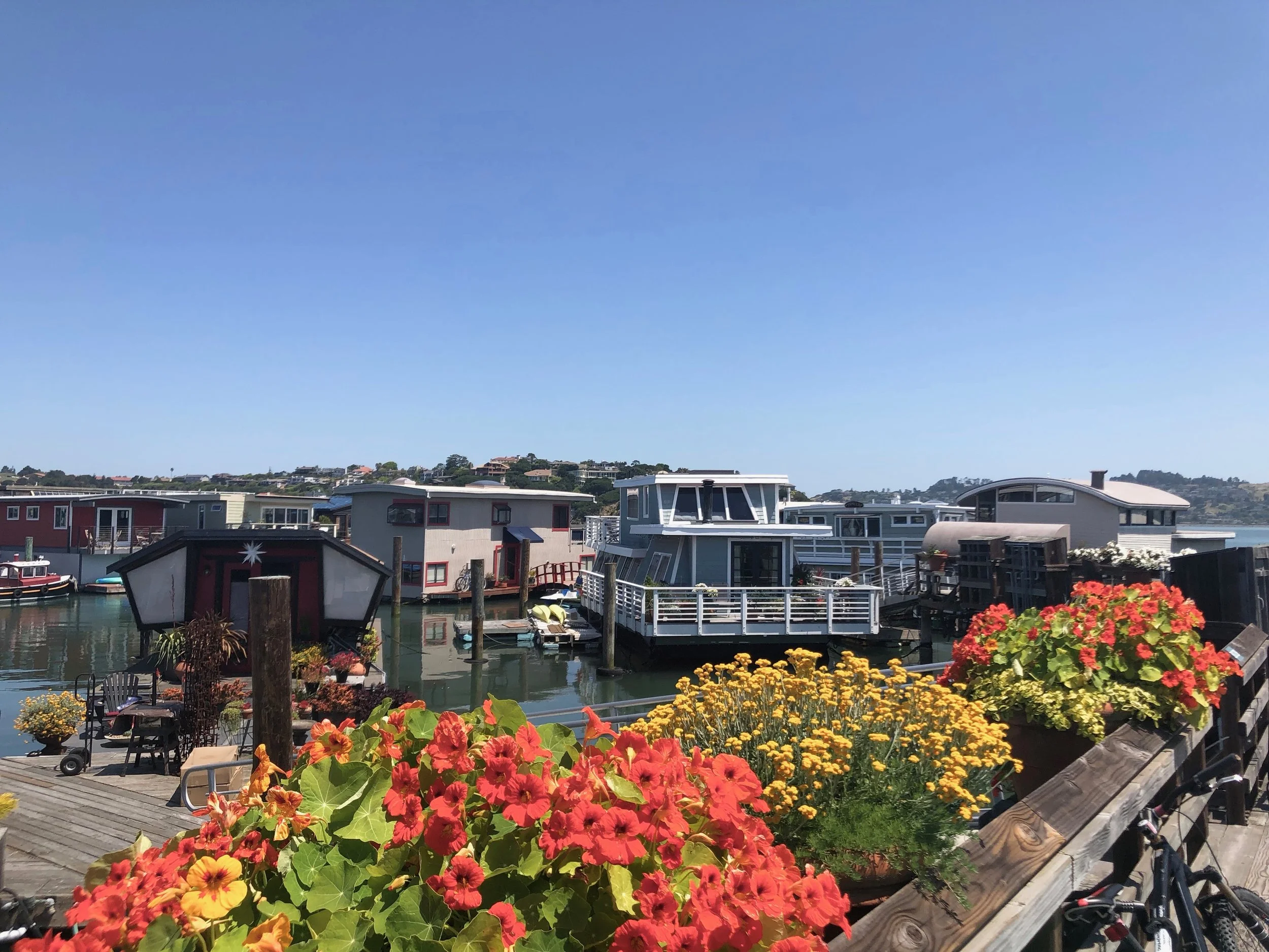 A slice of life in the floating homes community in Sausalito.