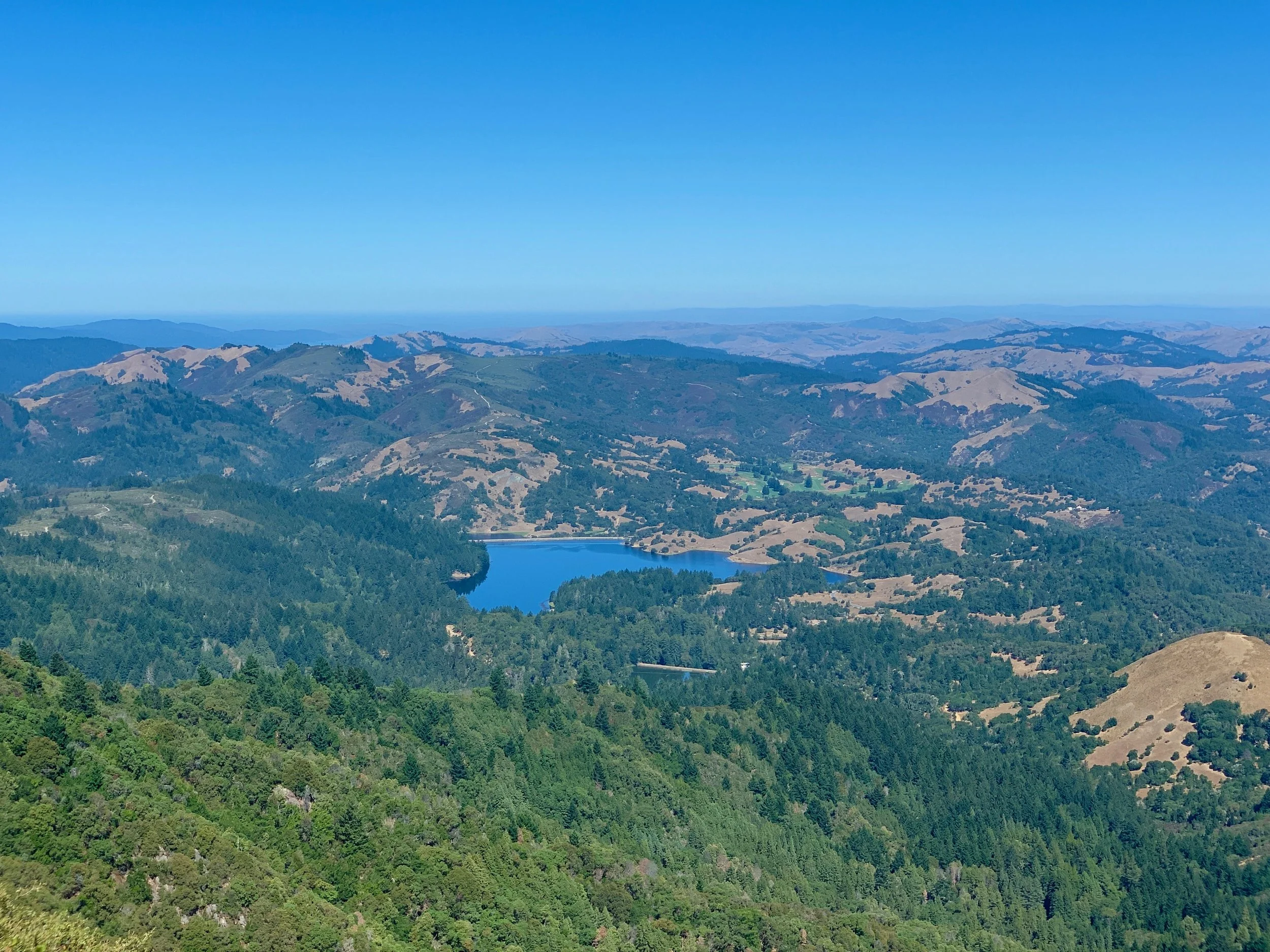 Best Flat Hikes in Marin: The Bon Tempe Lake Loop