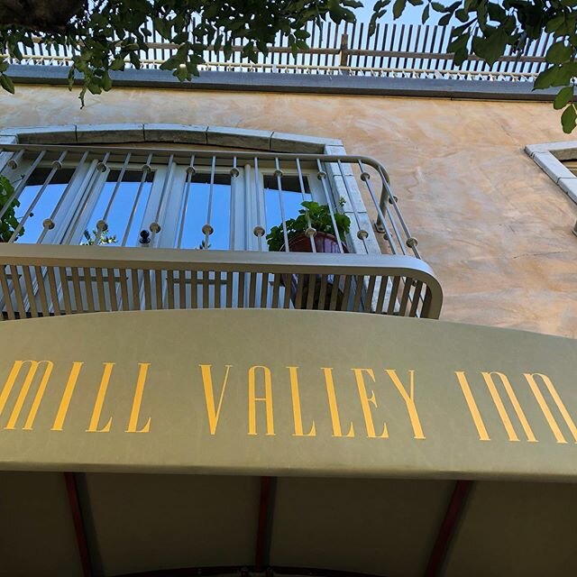 Look up! What do you see? It's a beautiful day in Mill Valley.
.
.
.
.
.
#newperspectives #lookup #bluesky #soundofbirds #explorenewplaces #millvalley #freshair #nooks #spring #hiddengems #local #vacationmode #offthebeatenpath #hike #walk #visitmarin