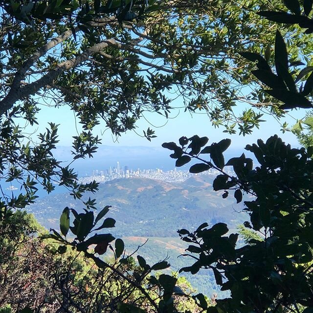 Hiking on Mount Tam is full of unexpected views! An easy and beautiful drive from the hotel.
.
.
.
.
.

#cantwaittotravelagain #boutiquehotel #hike #wandering #millvalley #hiking #visitmarin #trails #trailrunner #onthego #nature #naturelover #outside