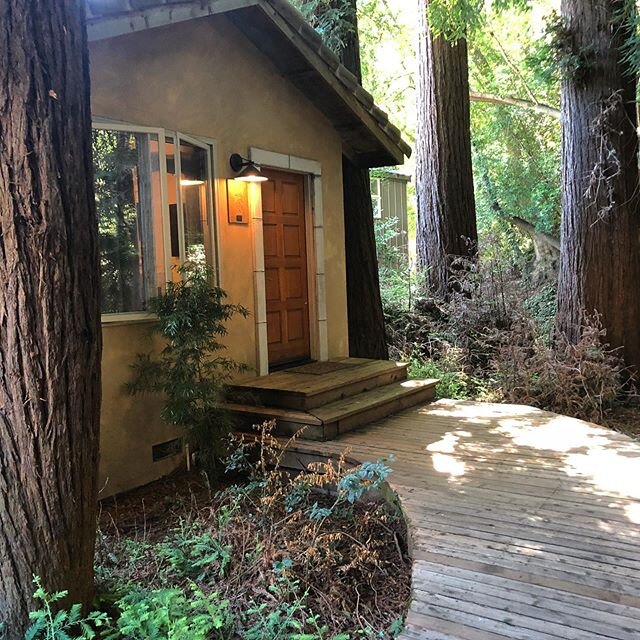 Ready to reset? Come stay in one of our cozy stand alone cottages.
.
.
.
.
.

#cantwaittotravelagain #reset #travelsafe #boutiquehotel #hike #wandering #millvalley #hiking #visitmarin #trails #trailrunner #onthego #nature #naturelover #outside #plann