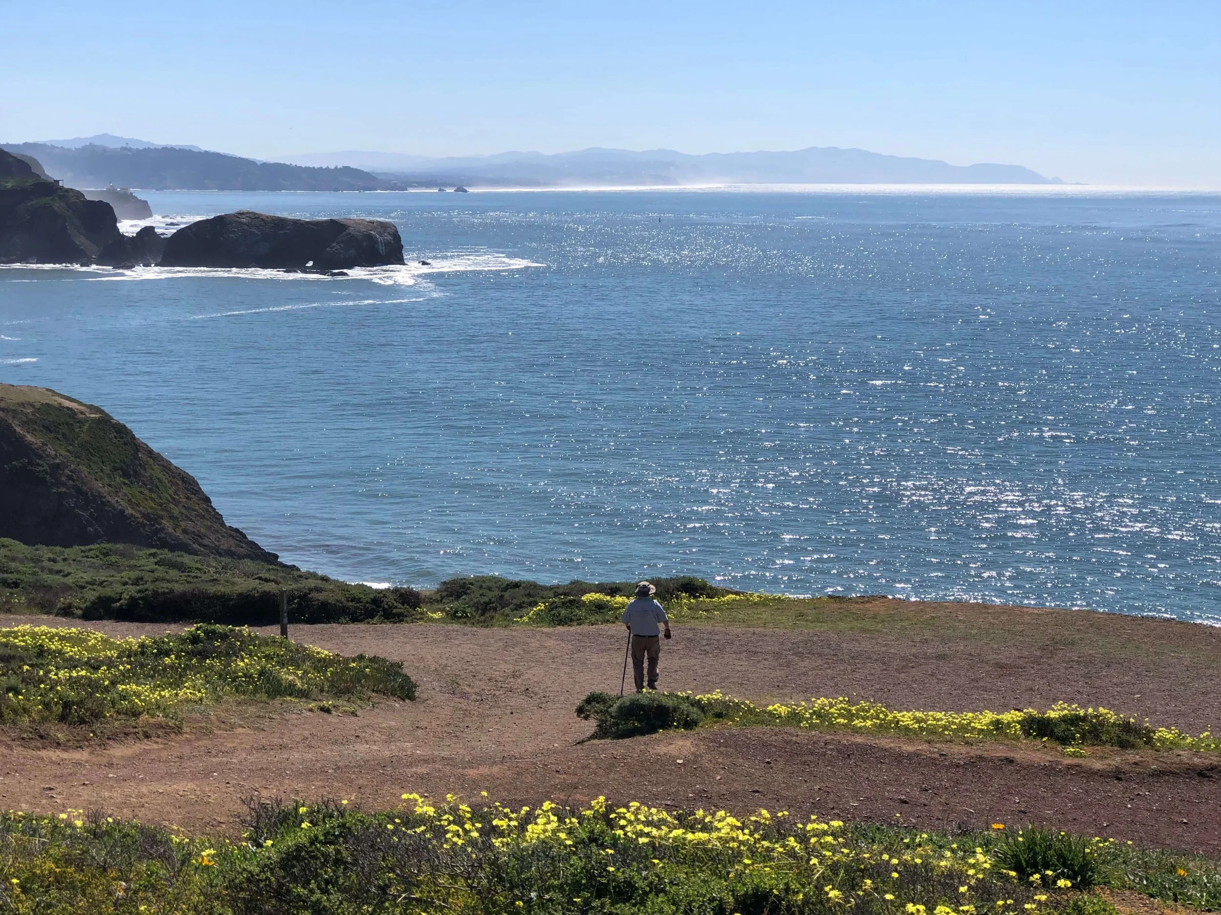 Best Flat Hikes in Marin: Fresh Photos From The Field