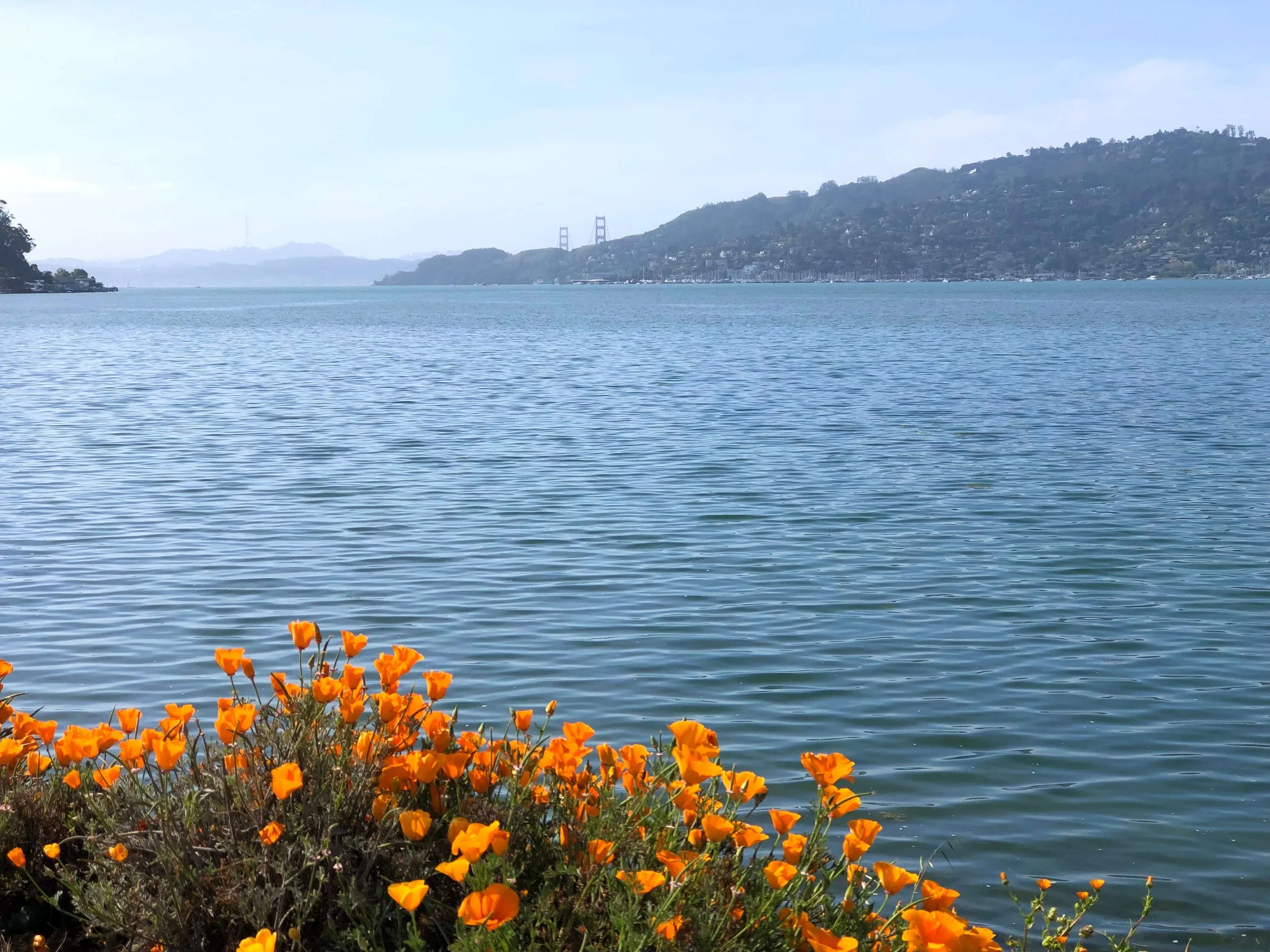Marin County Travel Guide: Ideas Your Return Visit