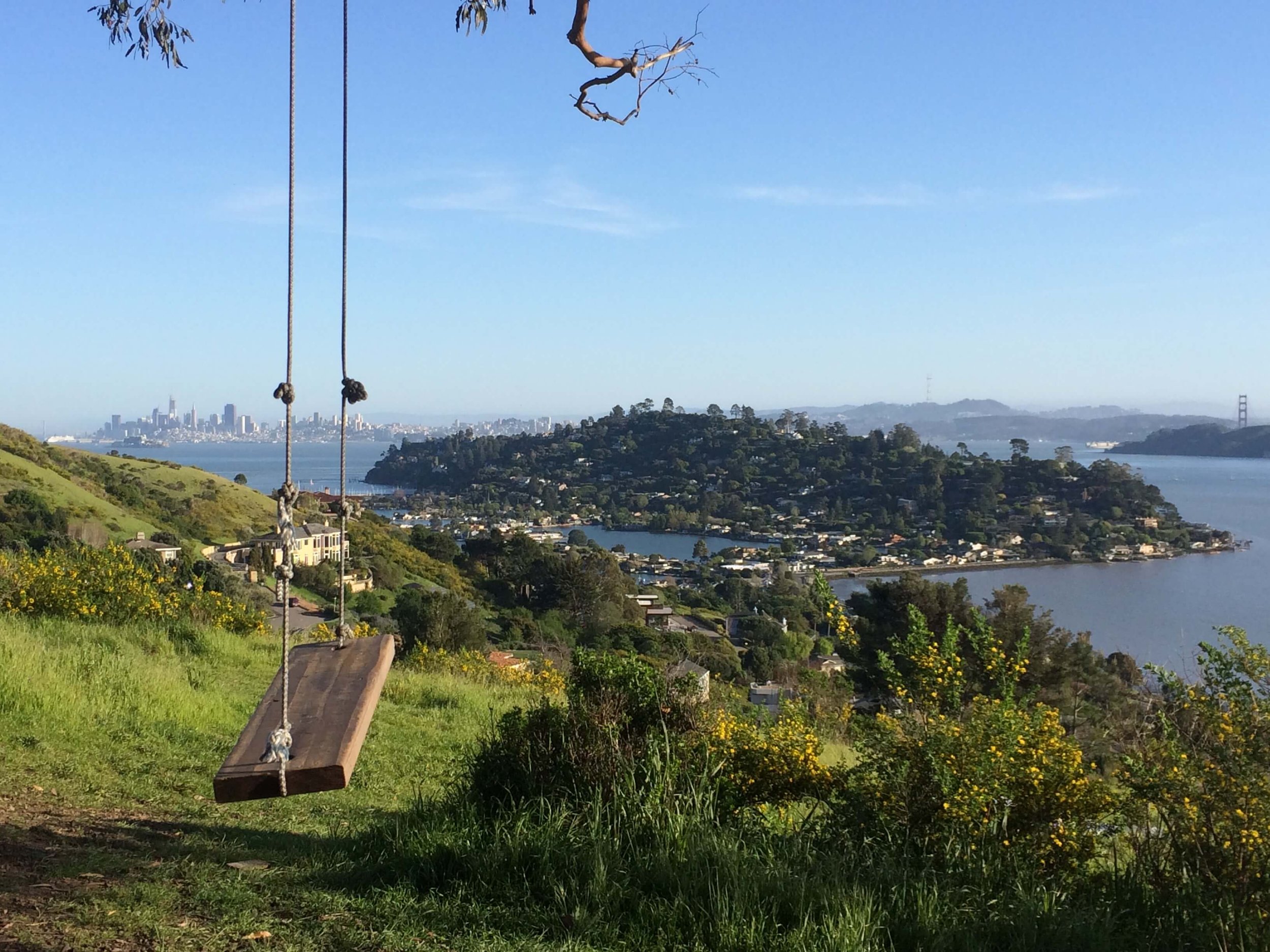 Swing on out in Tiburon