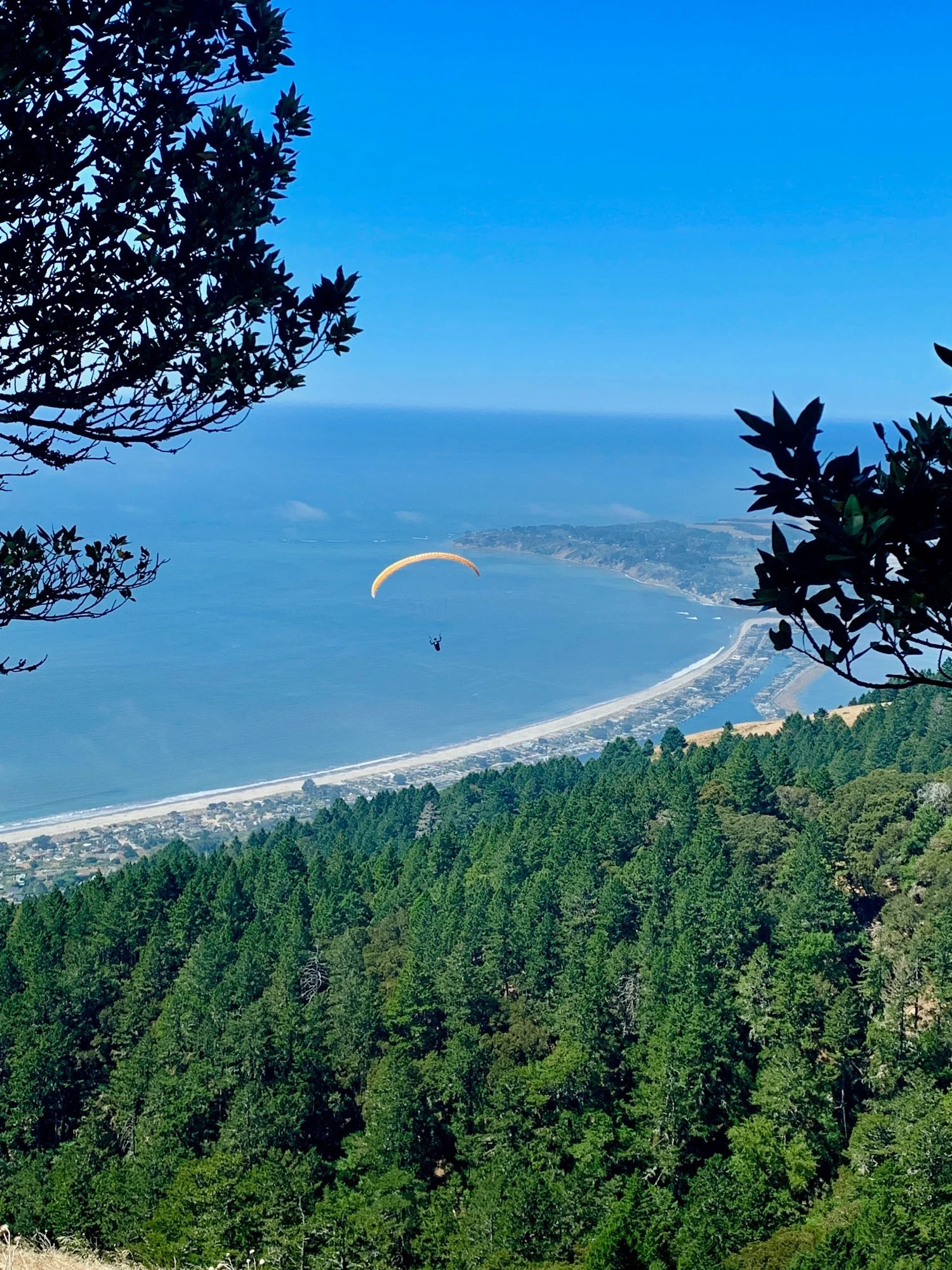 Visit California State Parks in Marin County