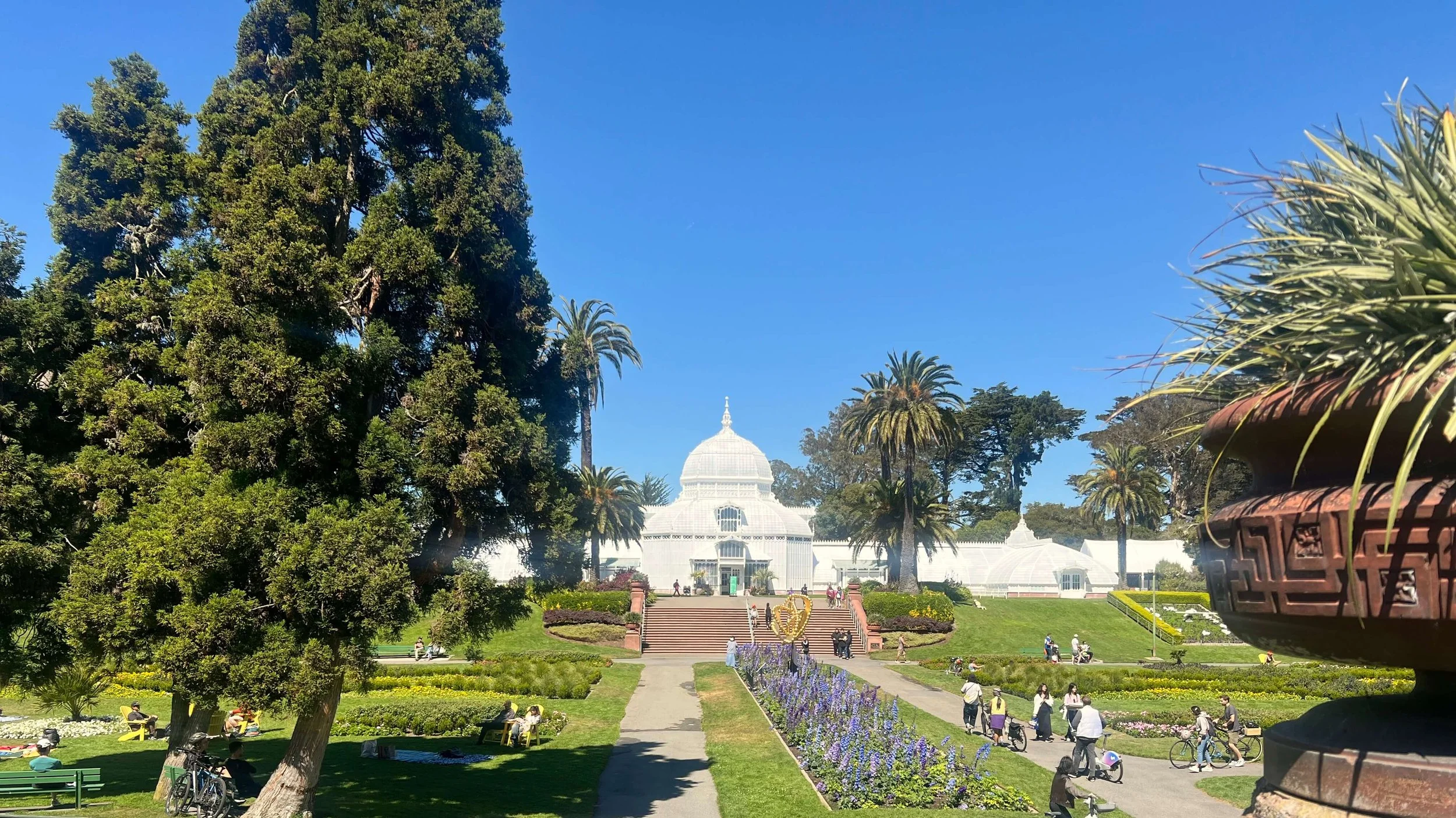 Travel Guide: Visiting Golden Gate Park in San Francisco