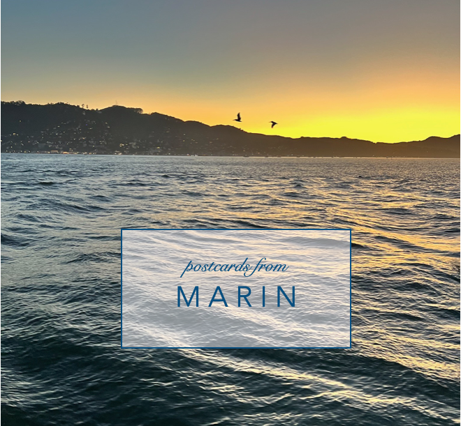 Postcard from Marin: Tiburon By The Bay