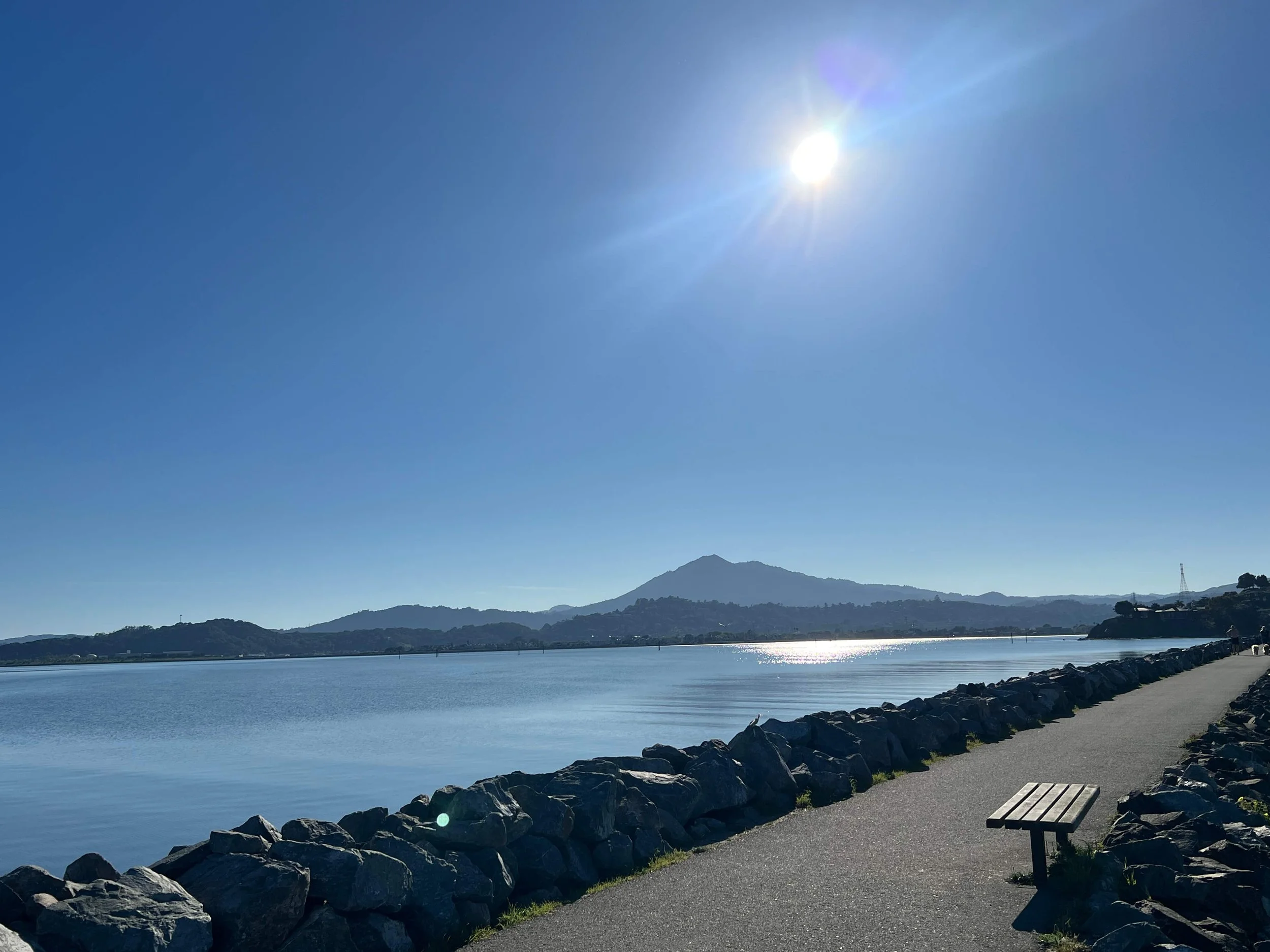 Best Flat Hikes in Marin: Loch Lomond Marina Park