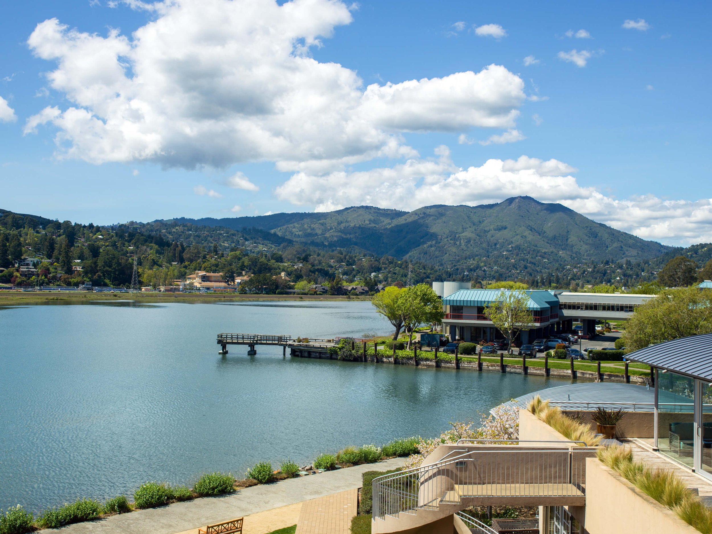 Mill Valley's Acqua Hotel: Where Modern Architecture Meets Nature's Serenity