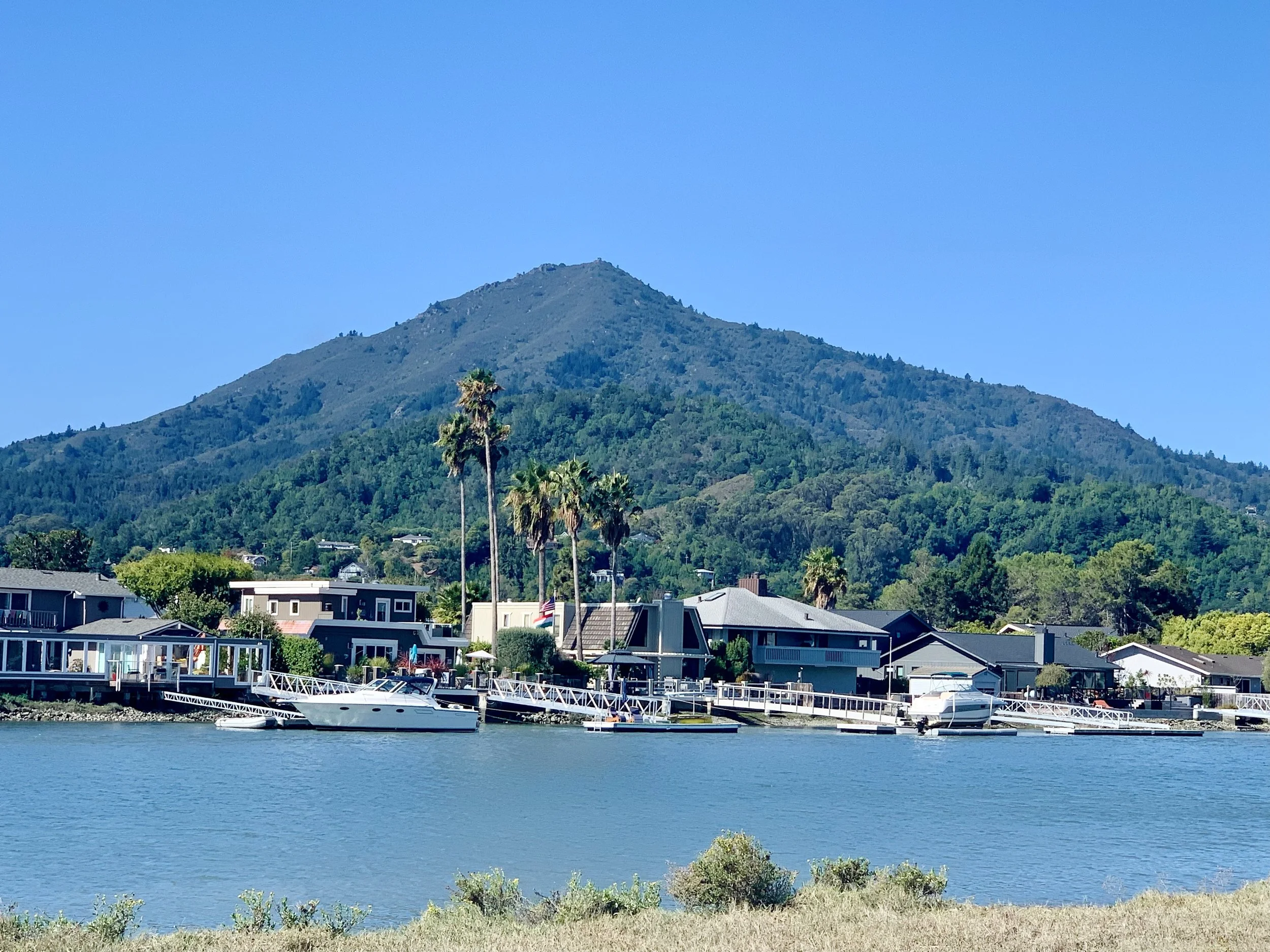 Best Flat Hikes in Marin: Incredible Mt. Tam Views along the Corte Madera Creek!