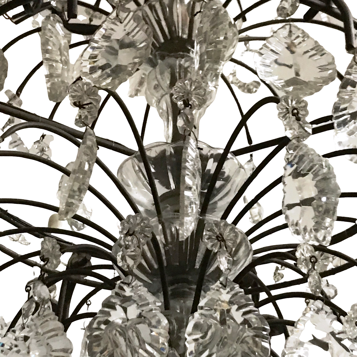 2644 (10).png