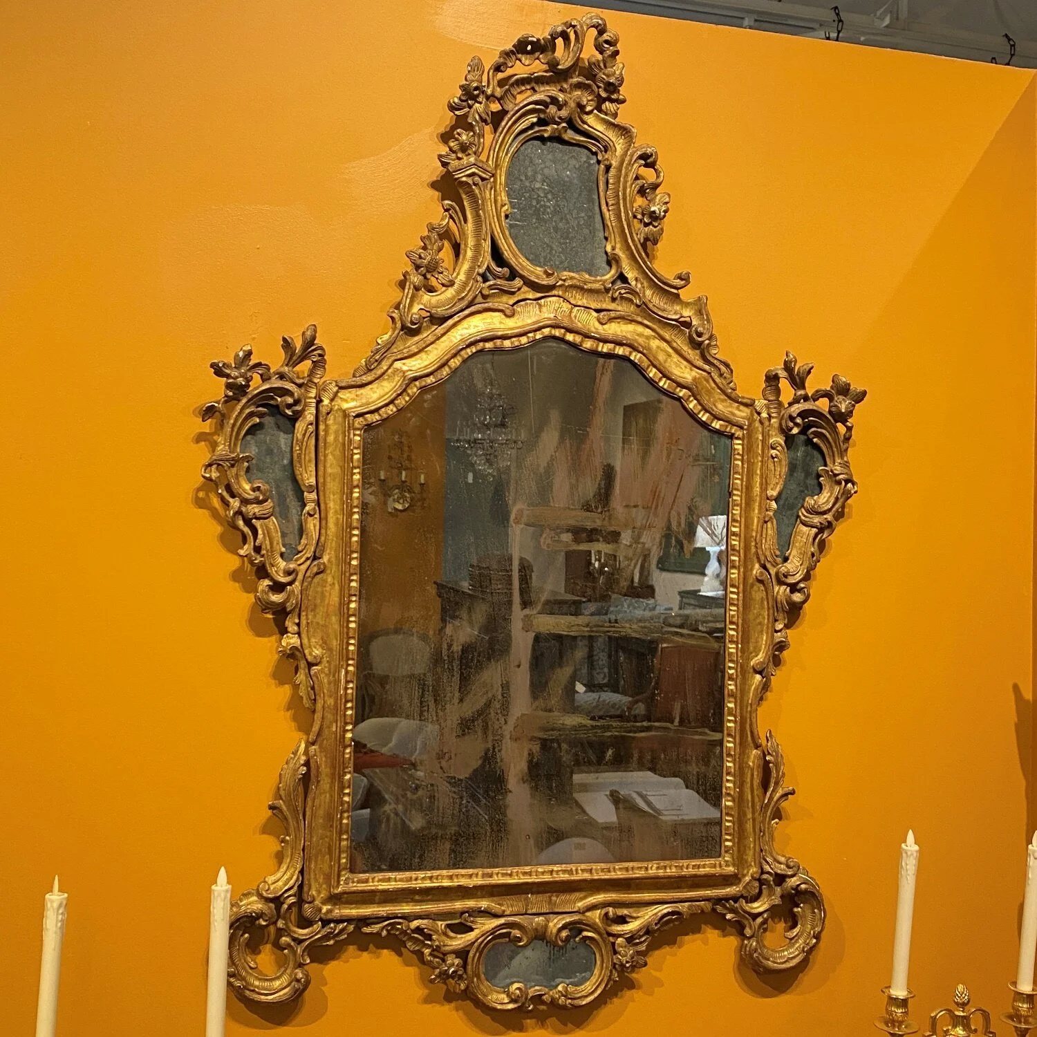 3929 (9) crop.jpg