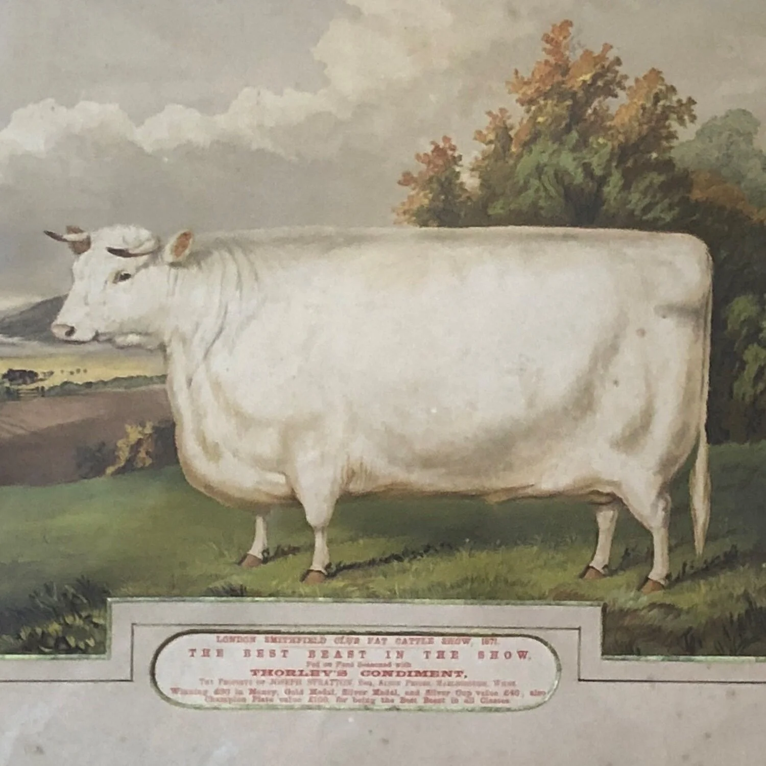 4043 (9)crop.jpg