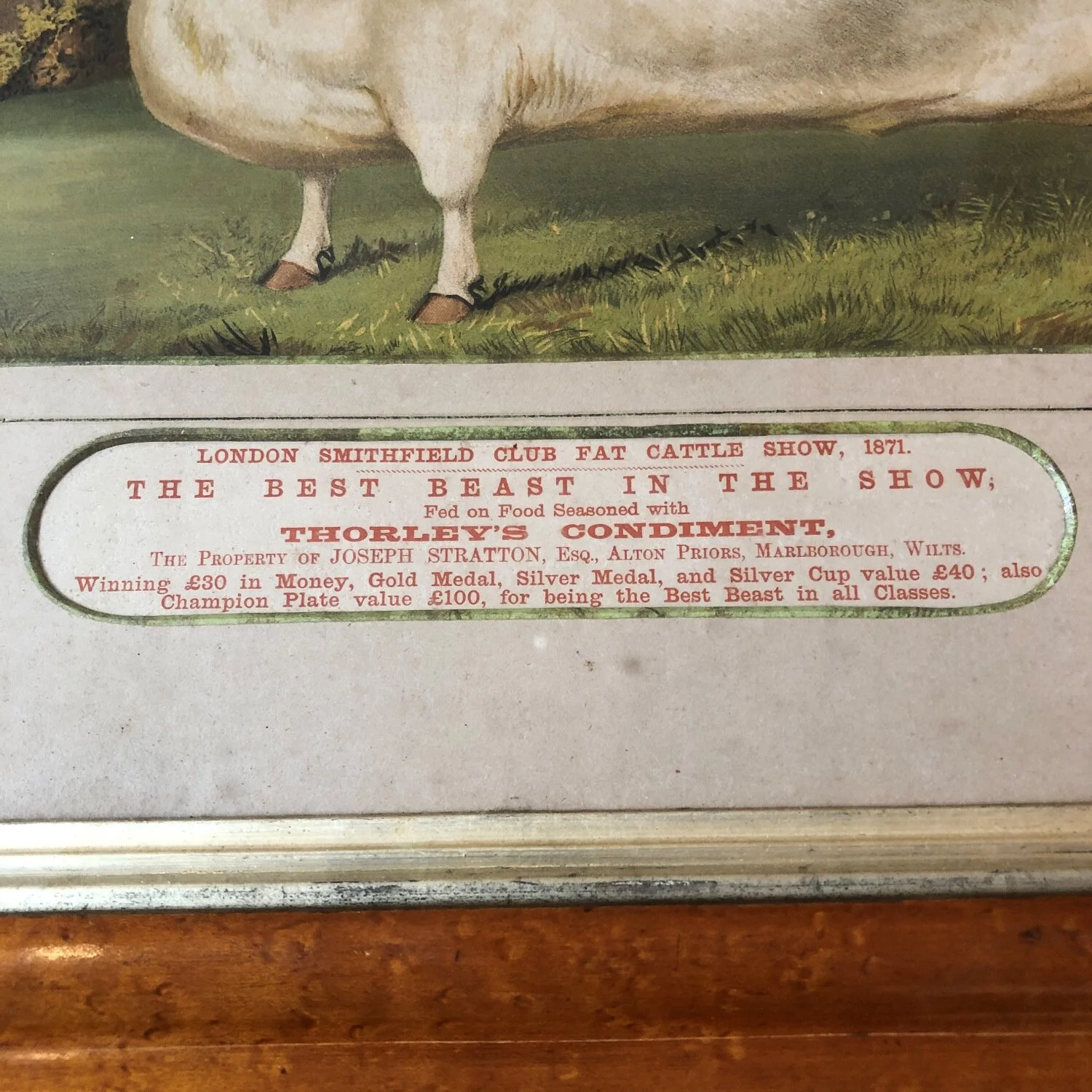 4043 (7).jpg