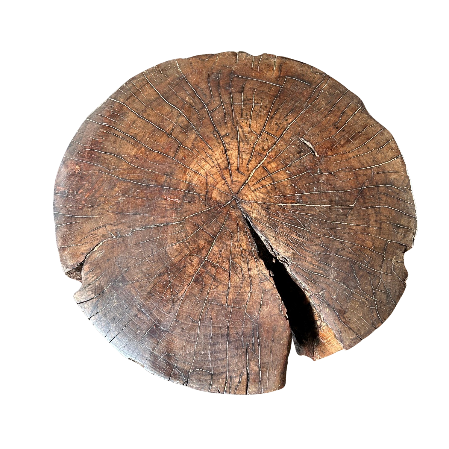 5567 (11).png