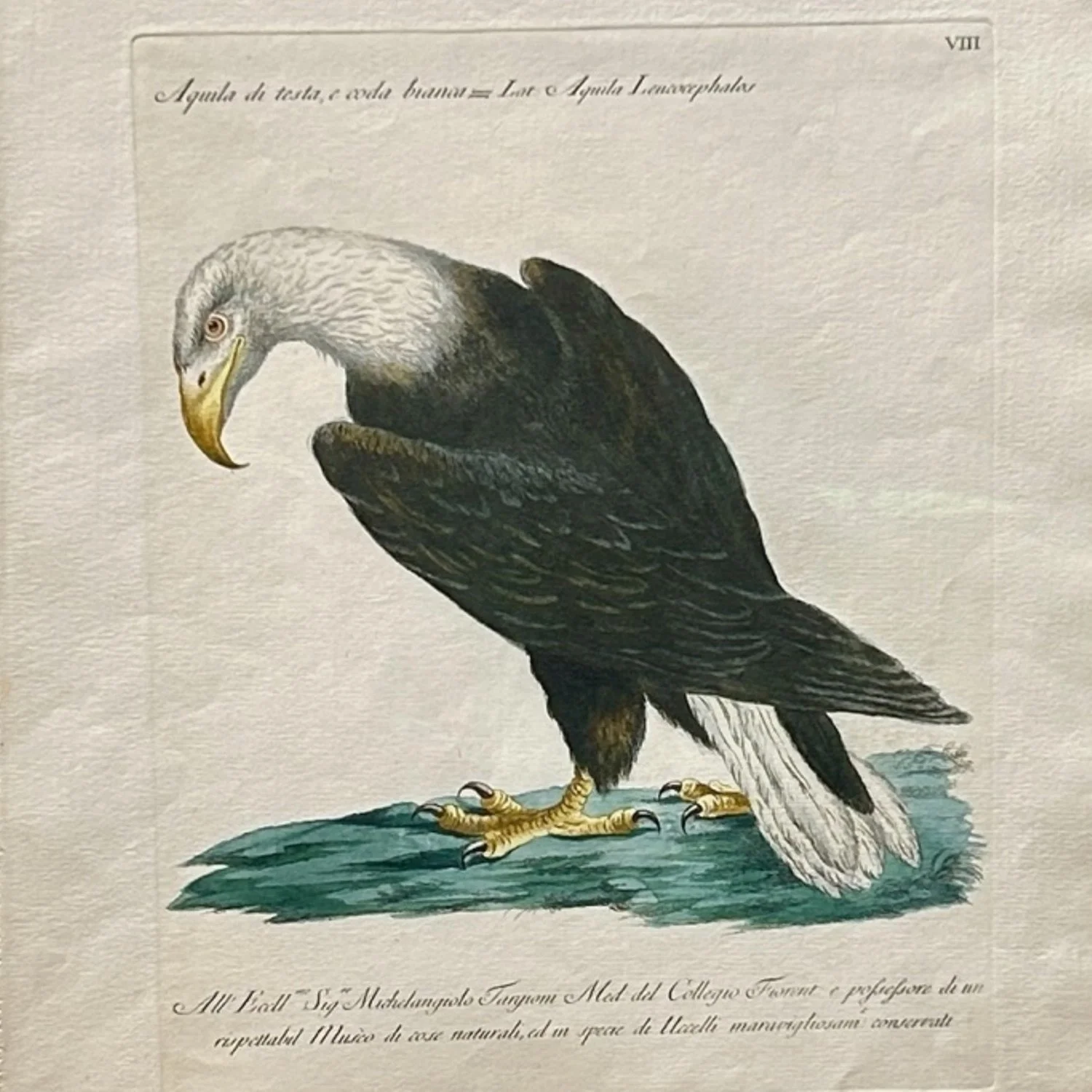 2656Z1 (12)cd.jpg