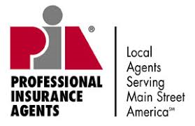 Professional Insurance Agents