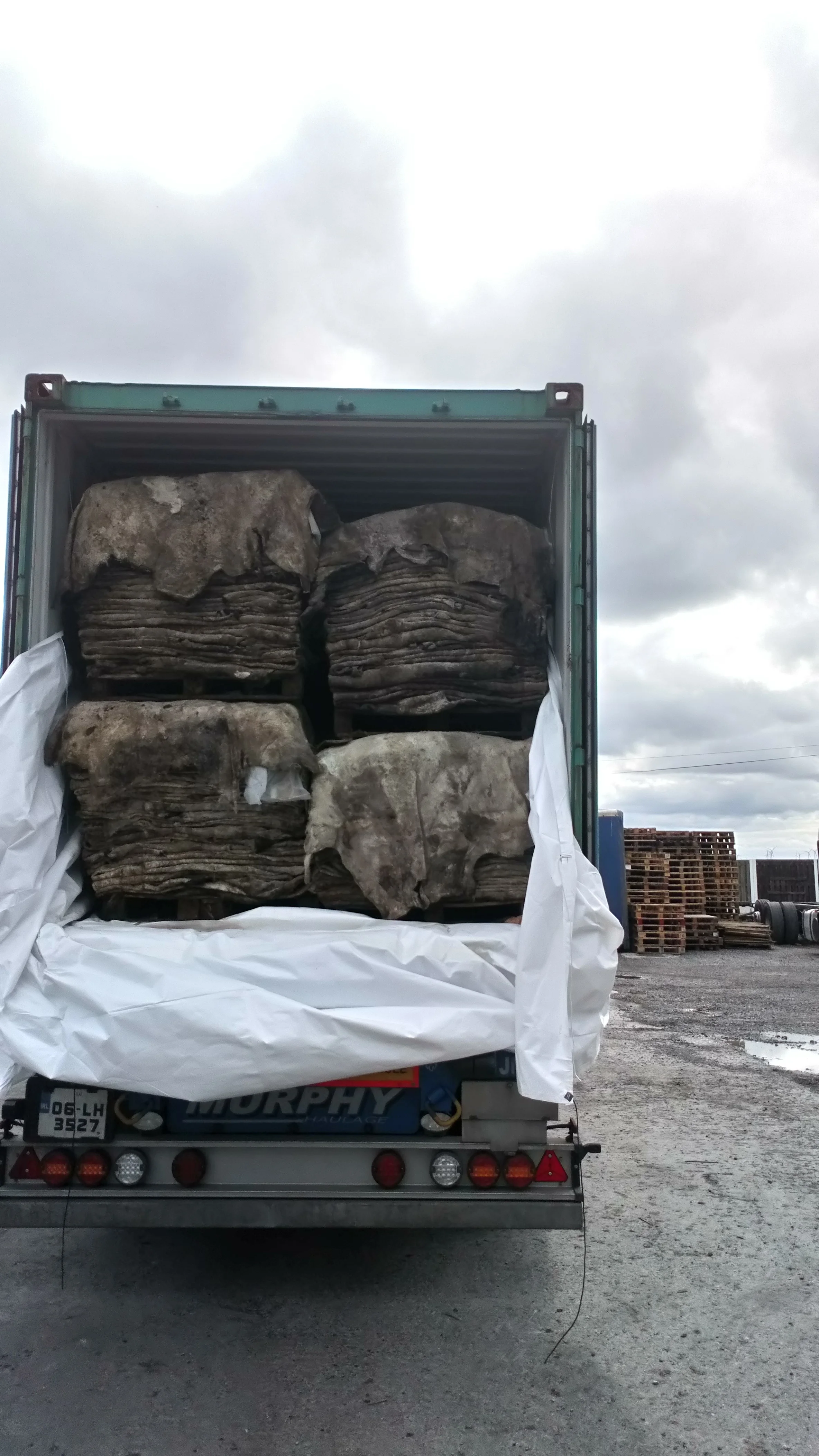 eamonns camera 1628.JPG