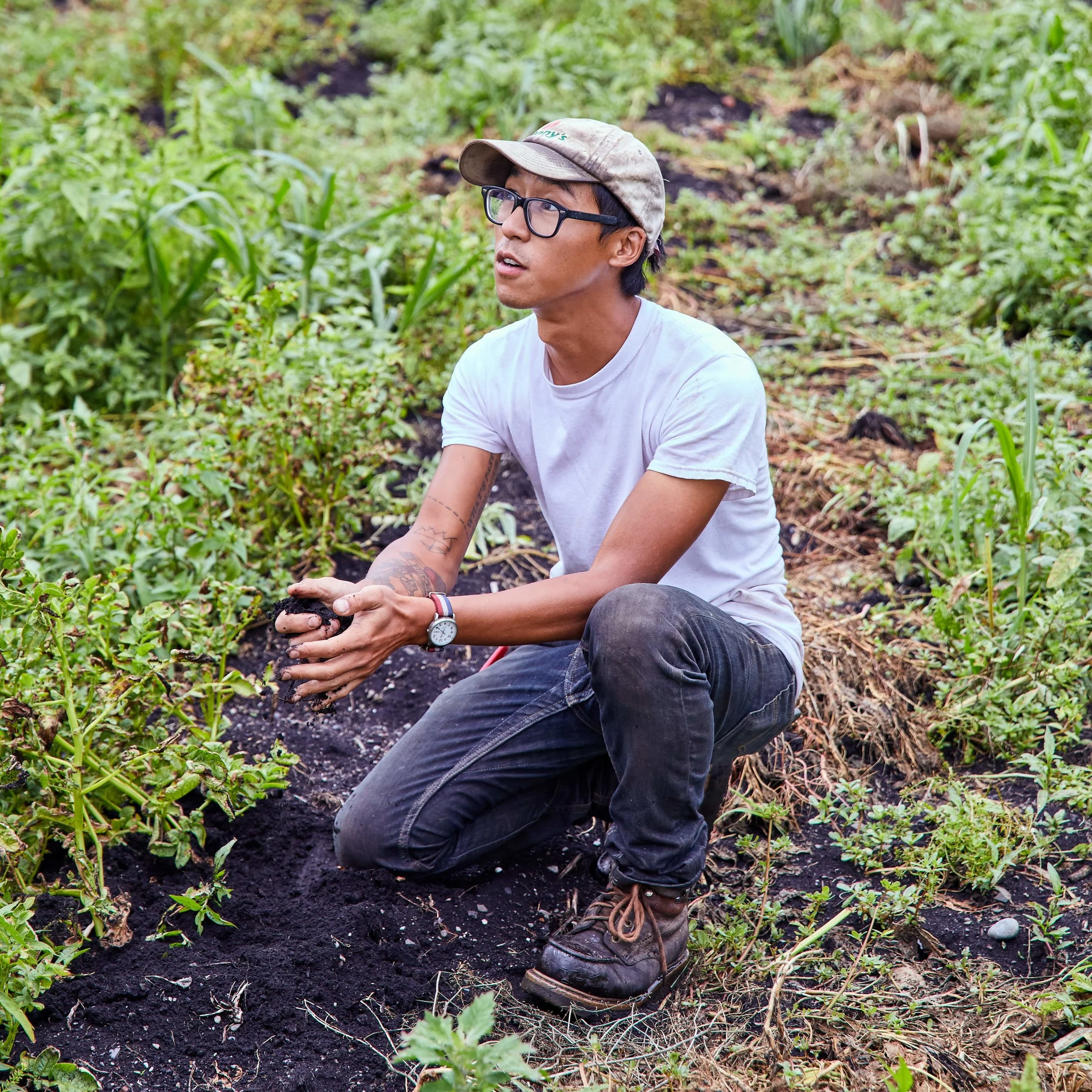 NS_July_2018_DI_Farm 16-min.jpg