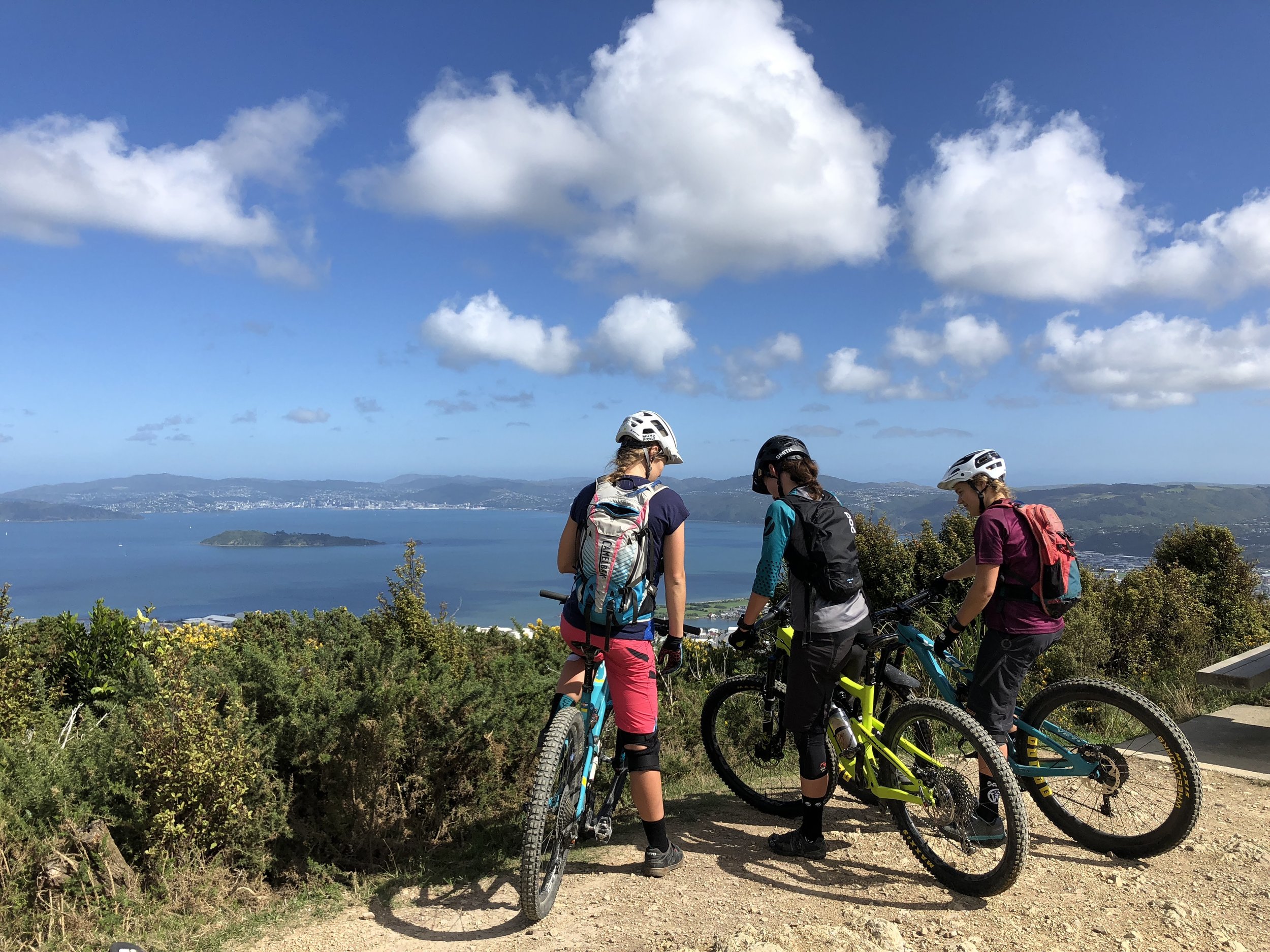 bikes and friends 