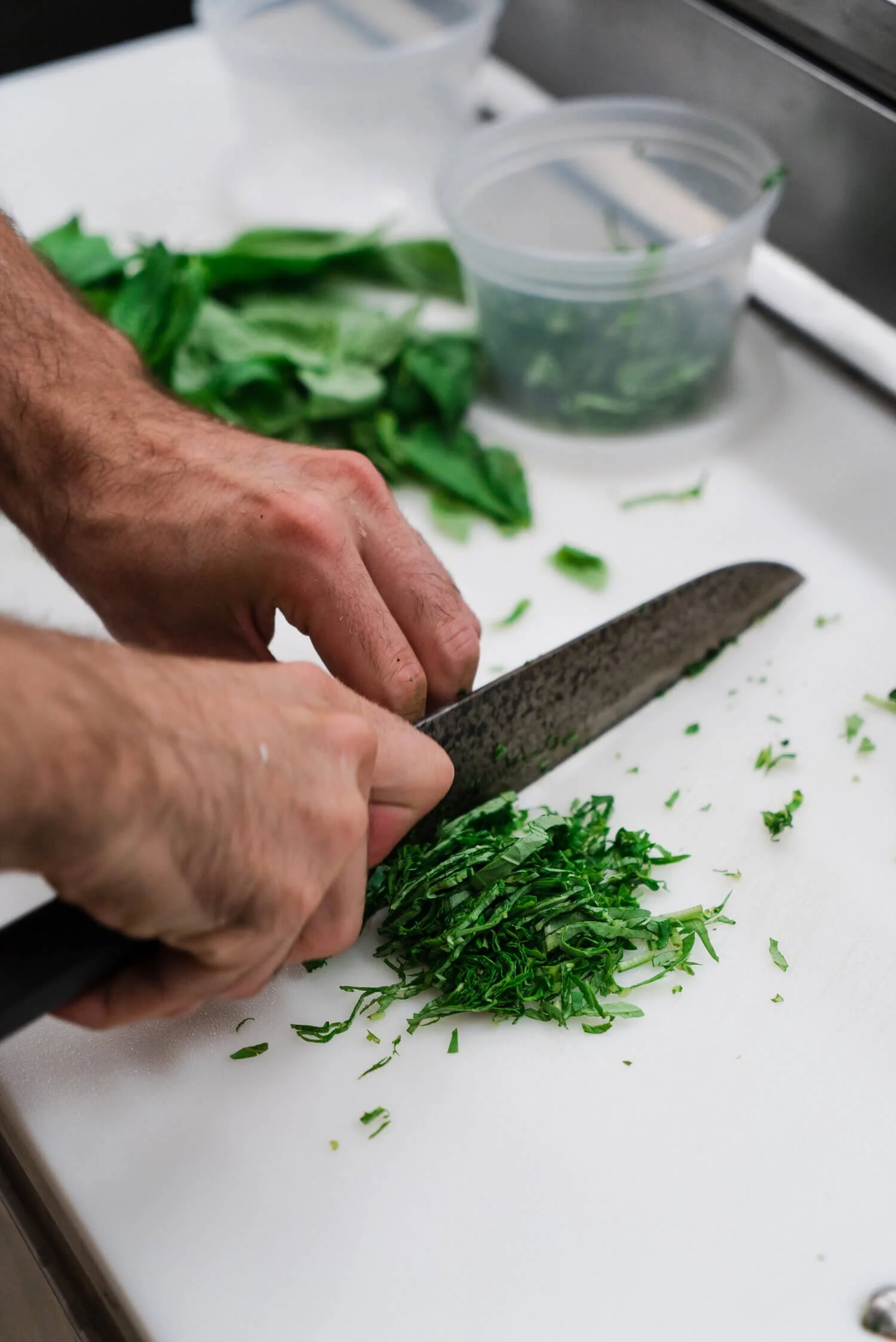 cutting herbs at best vancouver pizza restaurant