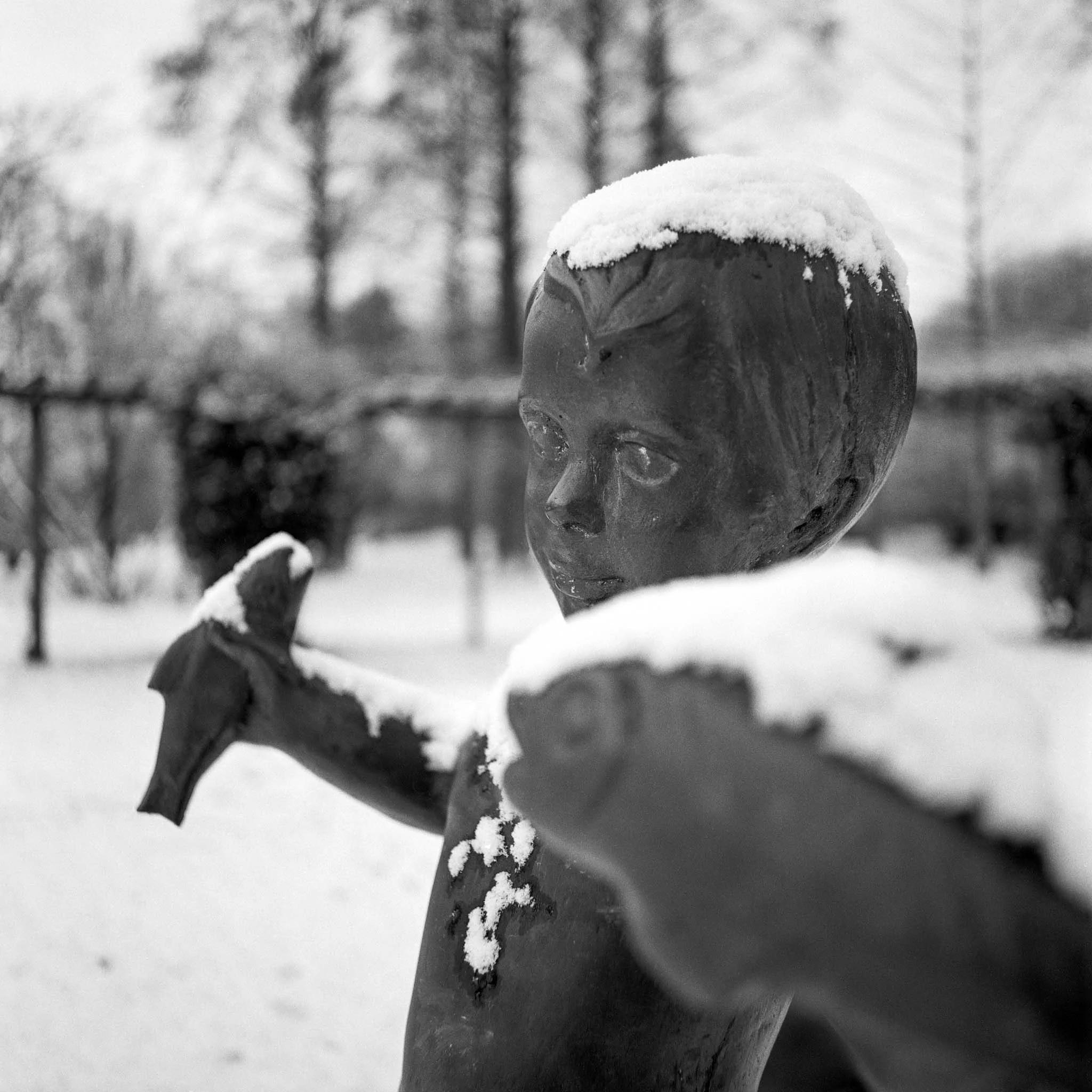 Image 1  (2)-Bearbeitet.JPG