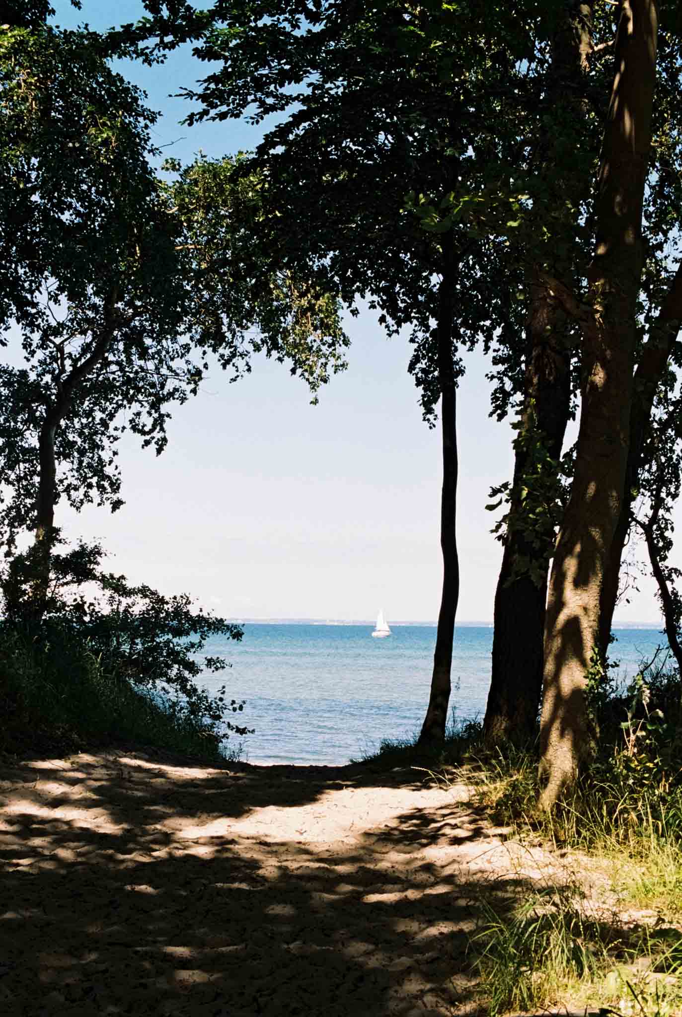 BachmP400272921-07.JPG