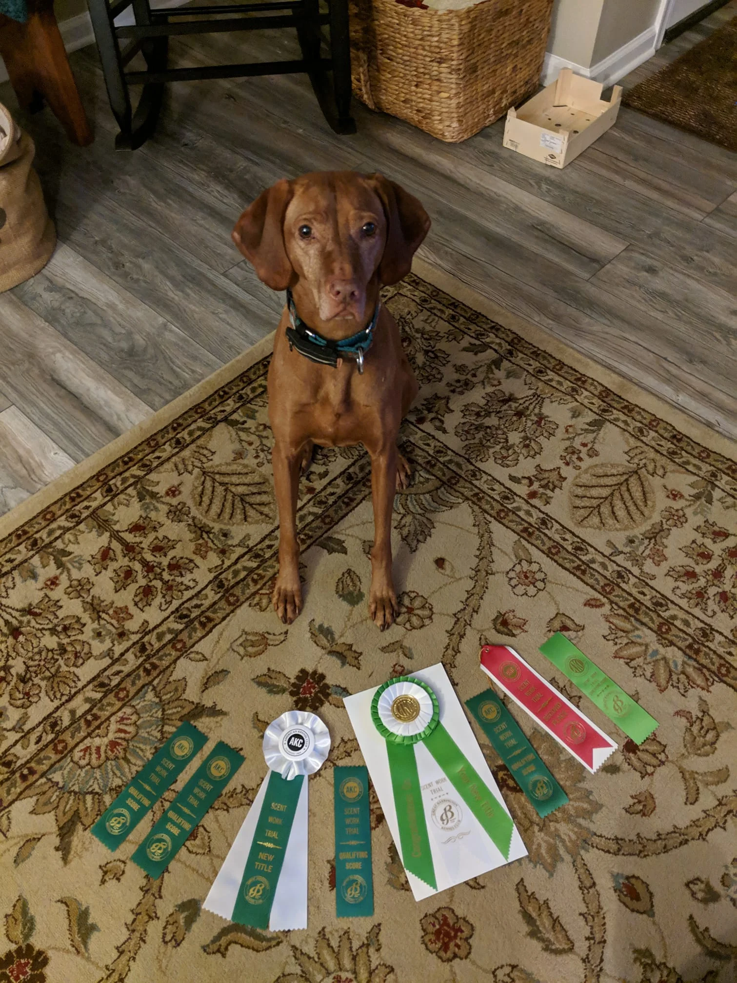 Rayne had a great weekend in MA!