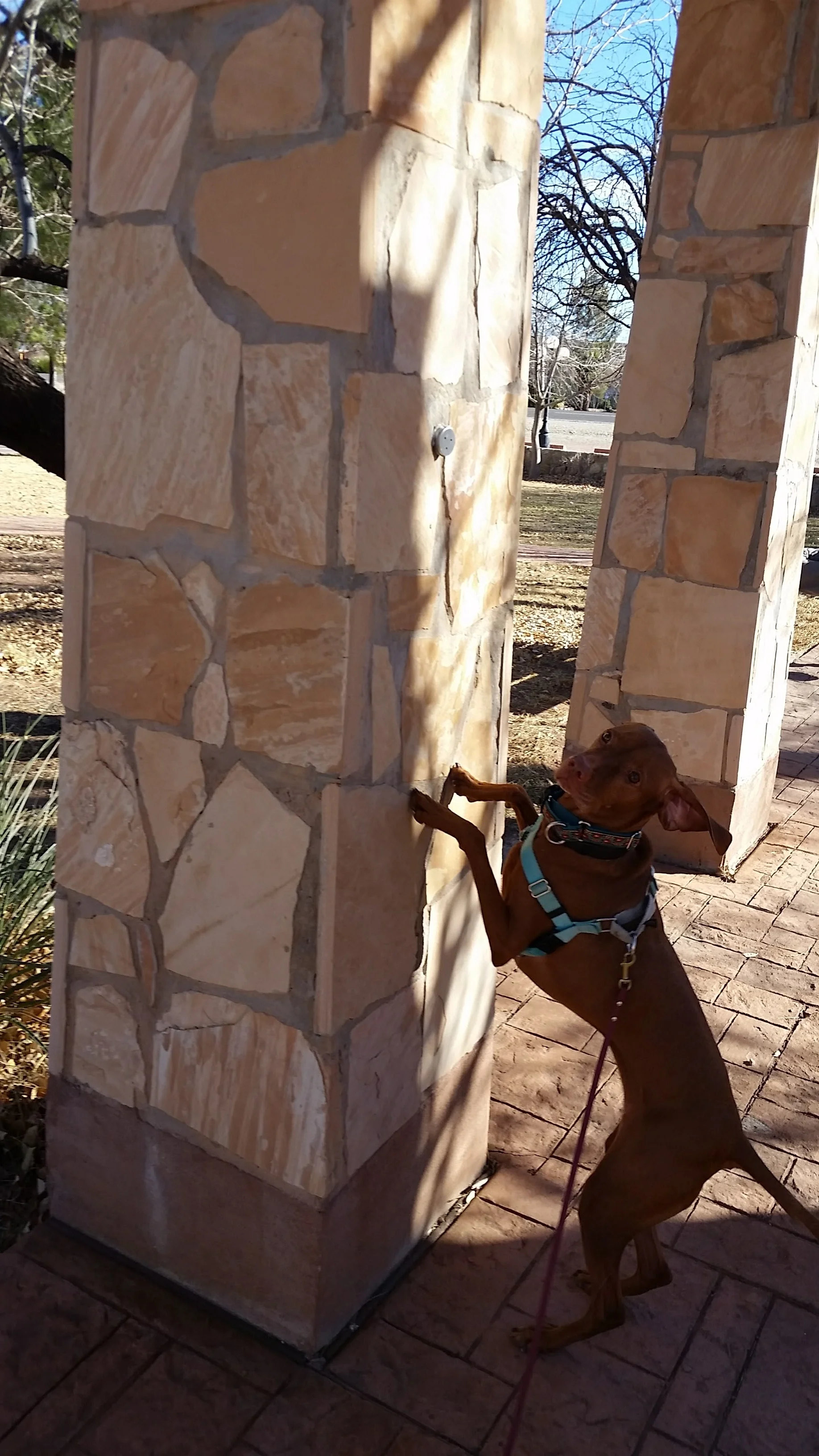 Rayne sourcing a high hide