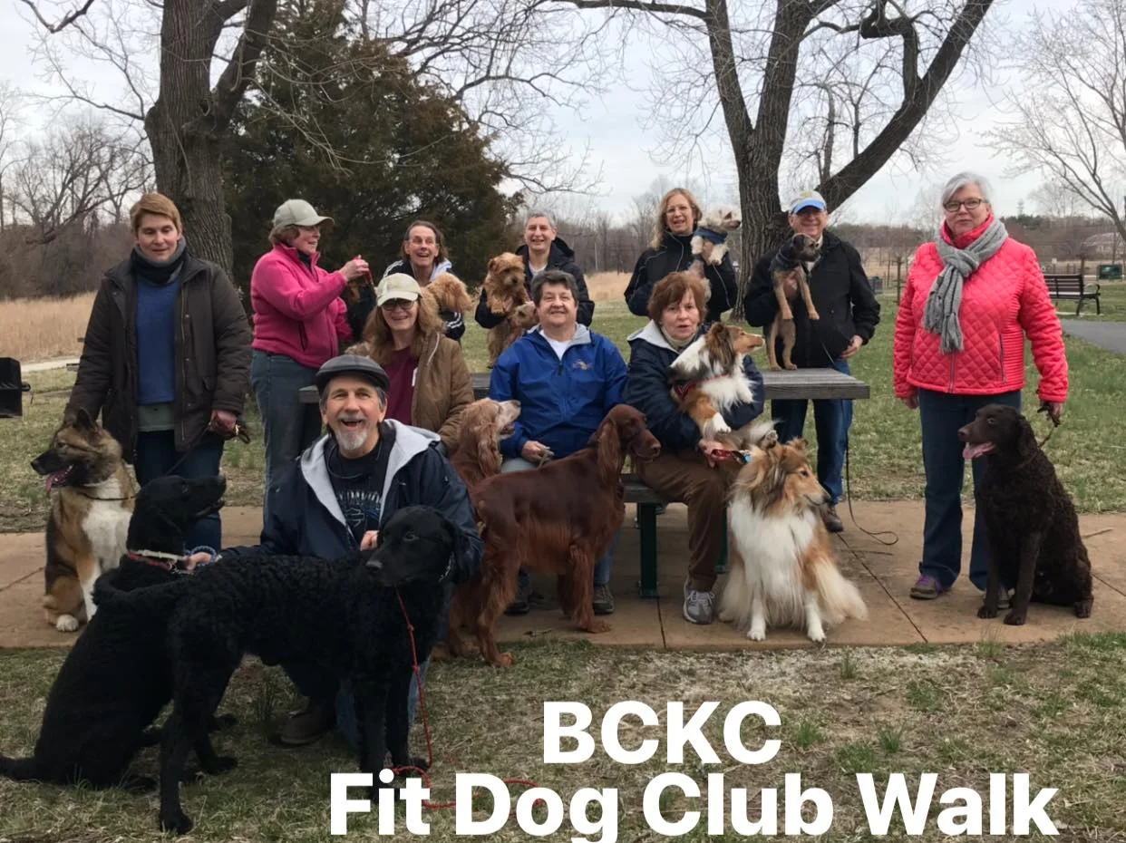 Inaugural Fit Dog walk, March 29, 2019