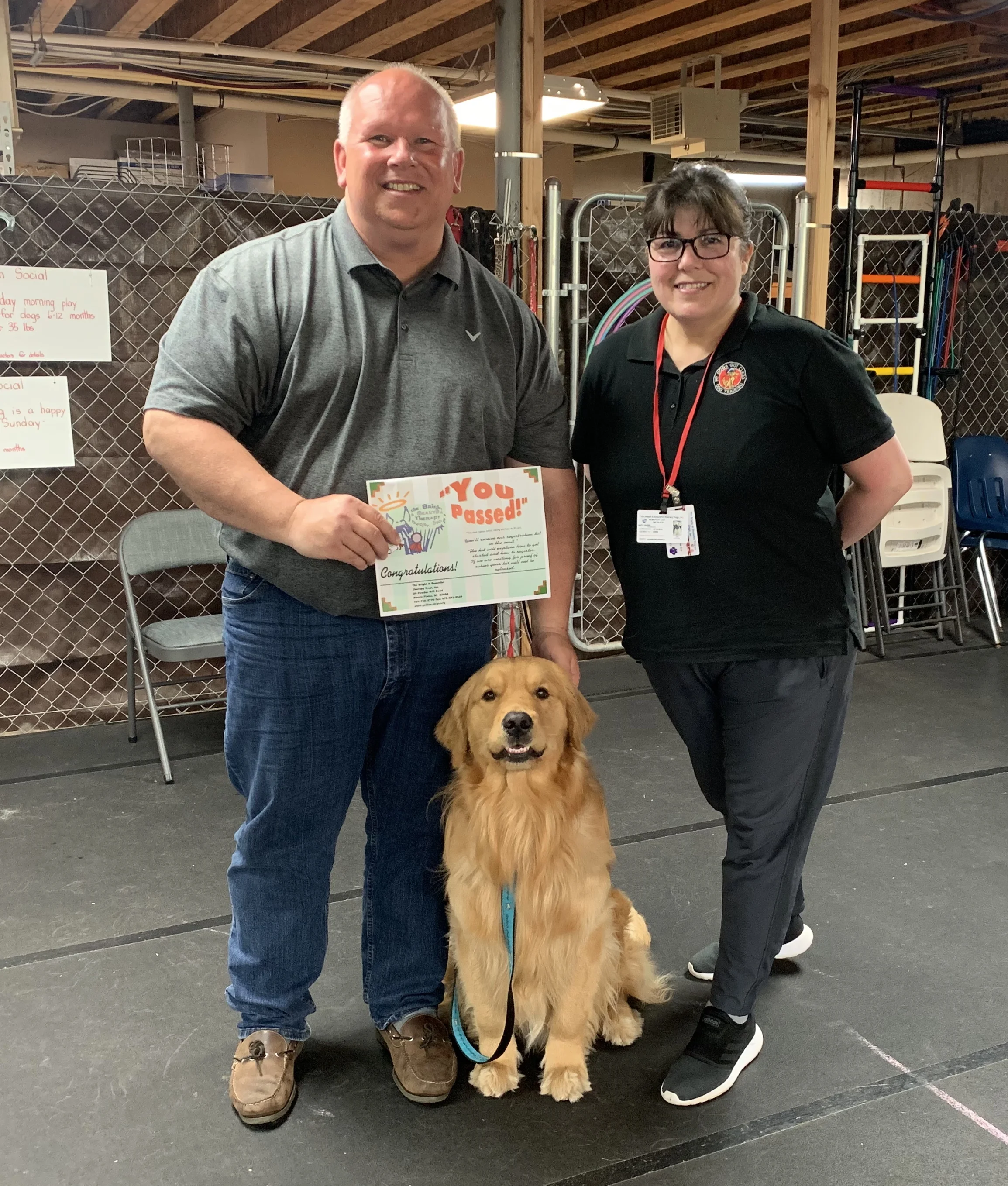 Teddy Therapy Cert.jpg