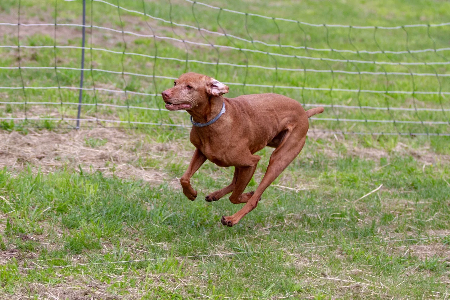 More Fast CAT fun for Rayne
