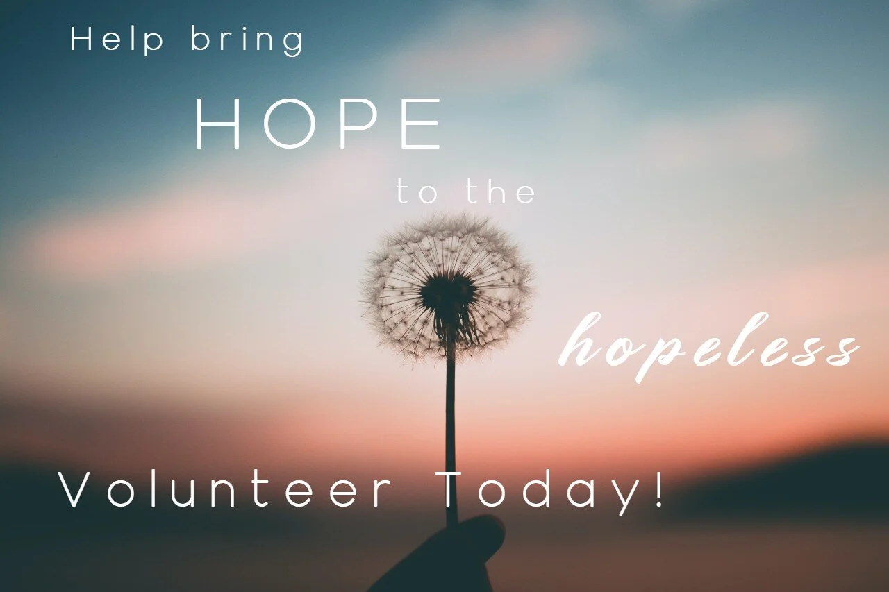 Volunteer.jpg