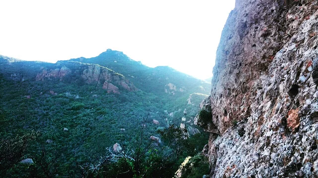 I'm not a big risk taker