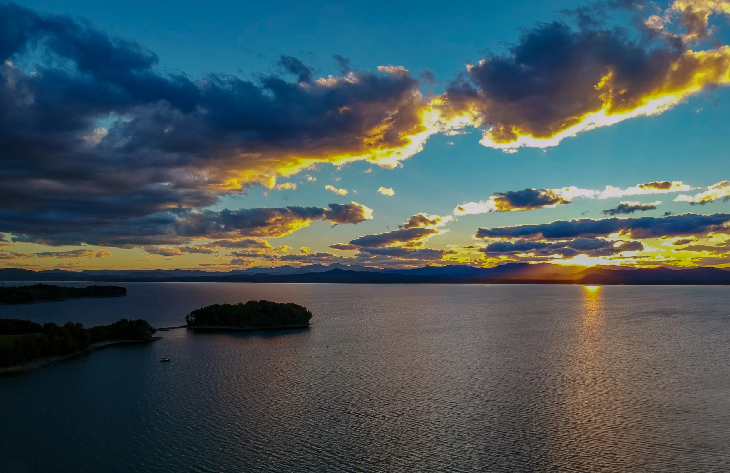 404GustavImage - 1.jpg