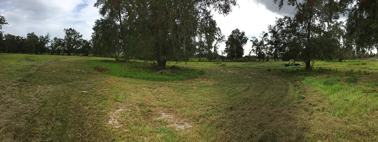 NEW DATES RELEASED for 2017 Fall/Winter programs