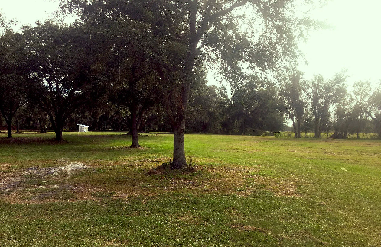 Our New Facility in 2018