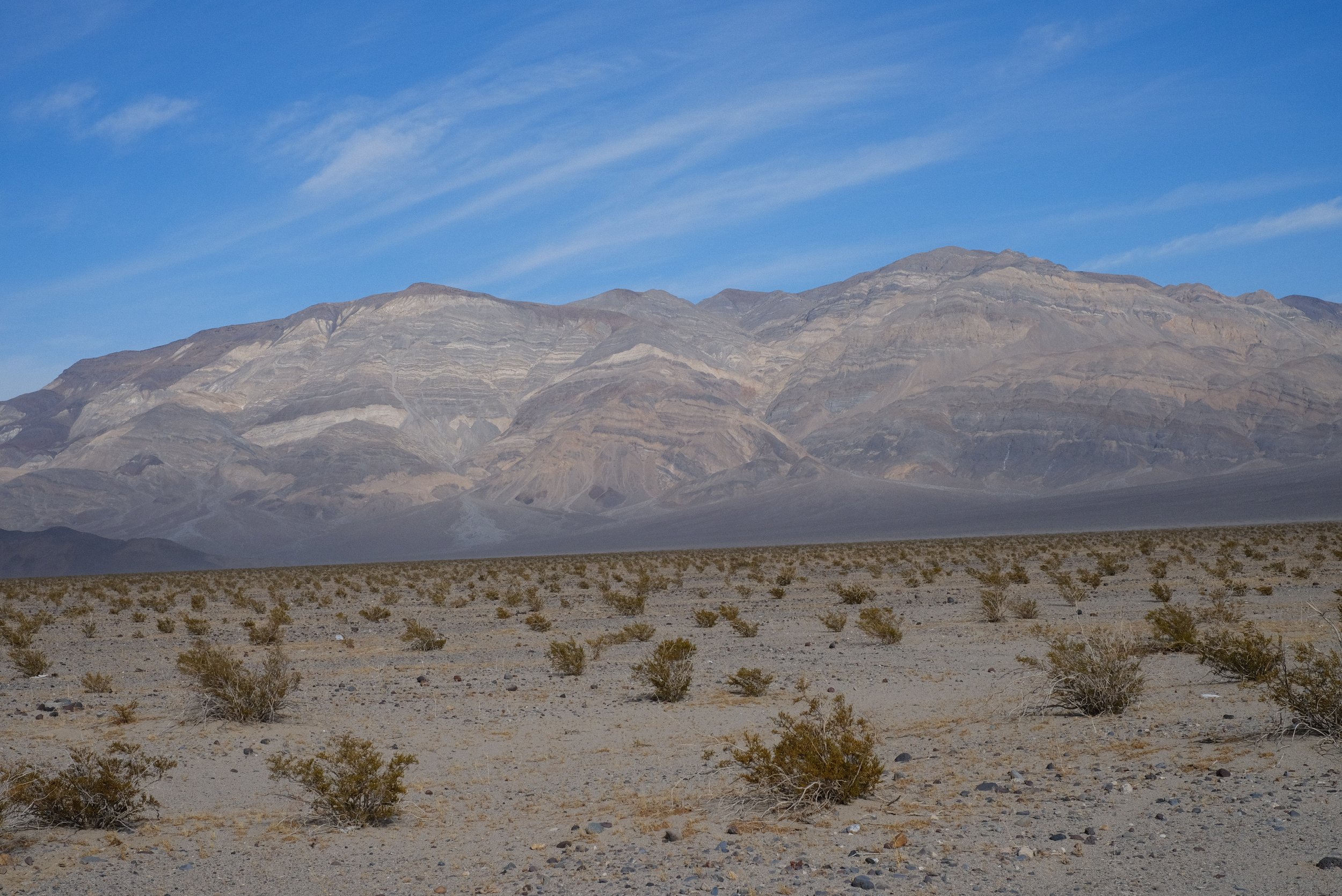 DSCF4419.JPG