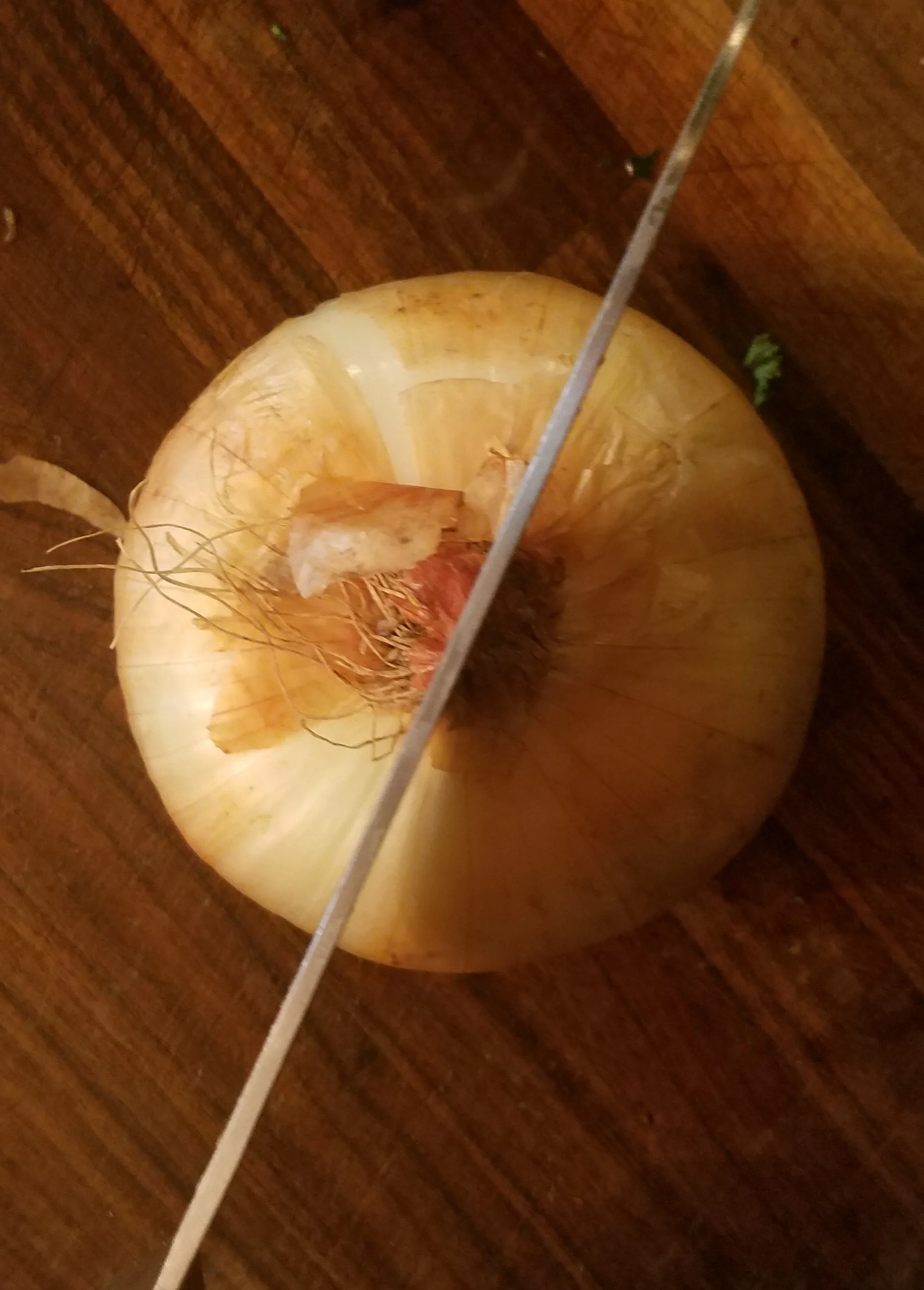20180816_175406.jpg