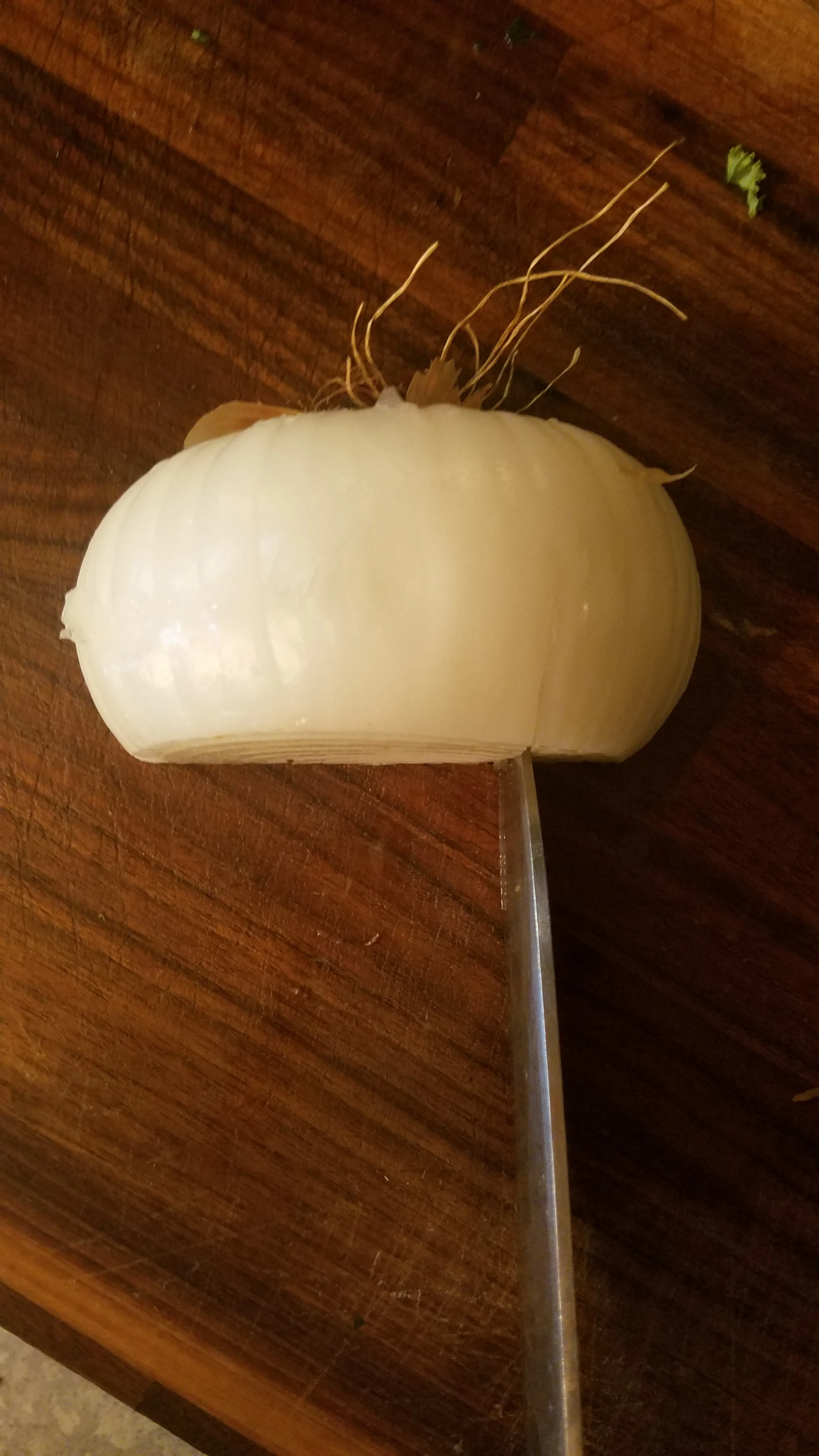20180816_175501.jpg