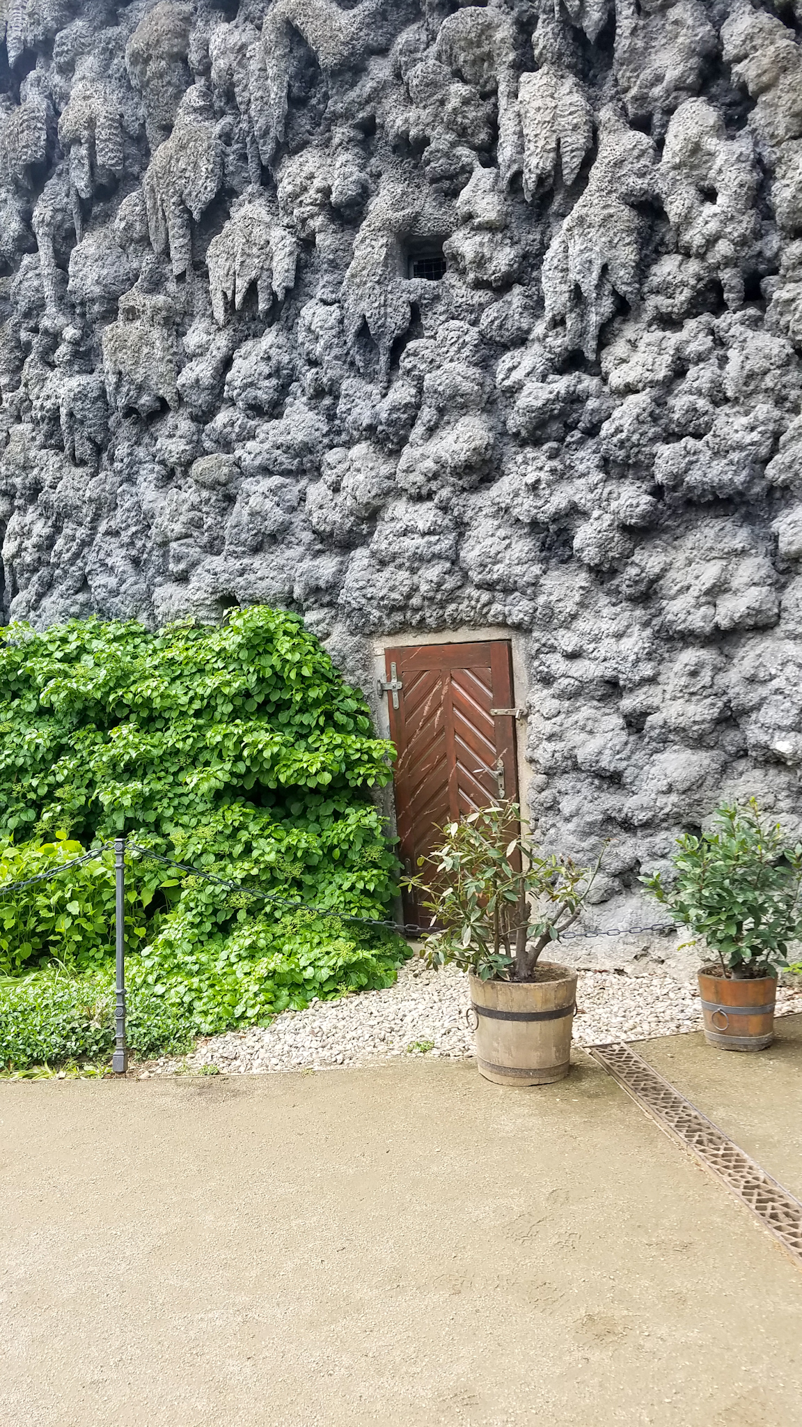 3105-2019-0852347561116670727301.jpeg